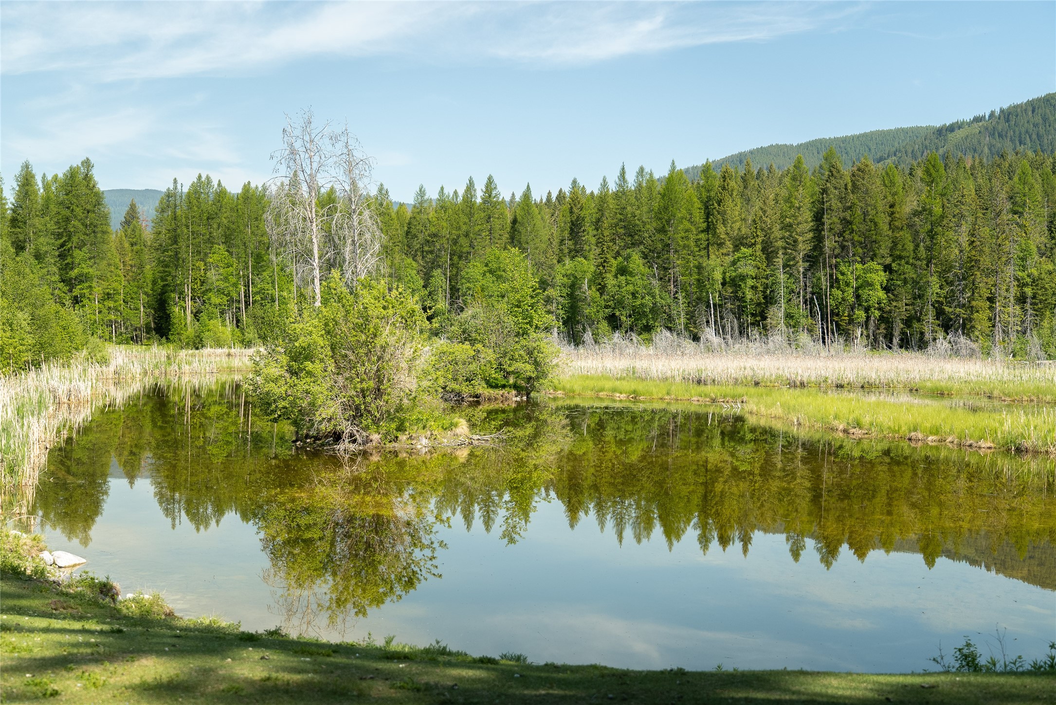 2280 North Fork Road Property Photo 45