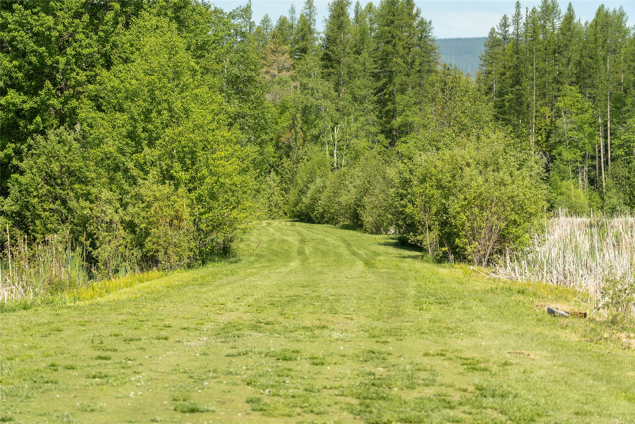 2280 North Fork Road Property Photo 47