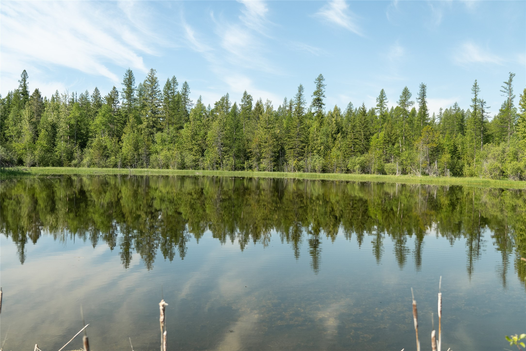 2280 North Fork Road Property Photo 48