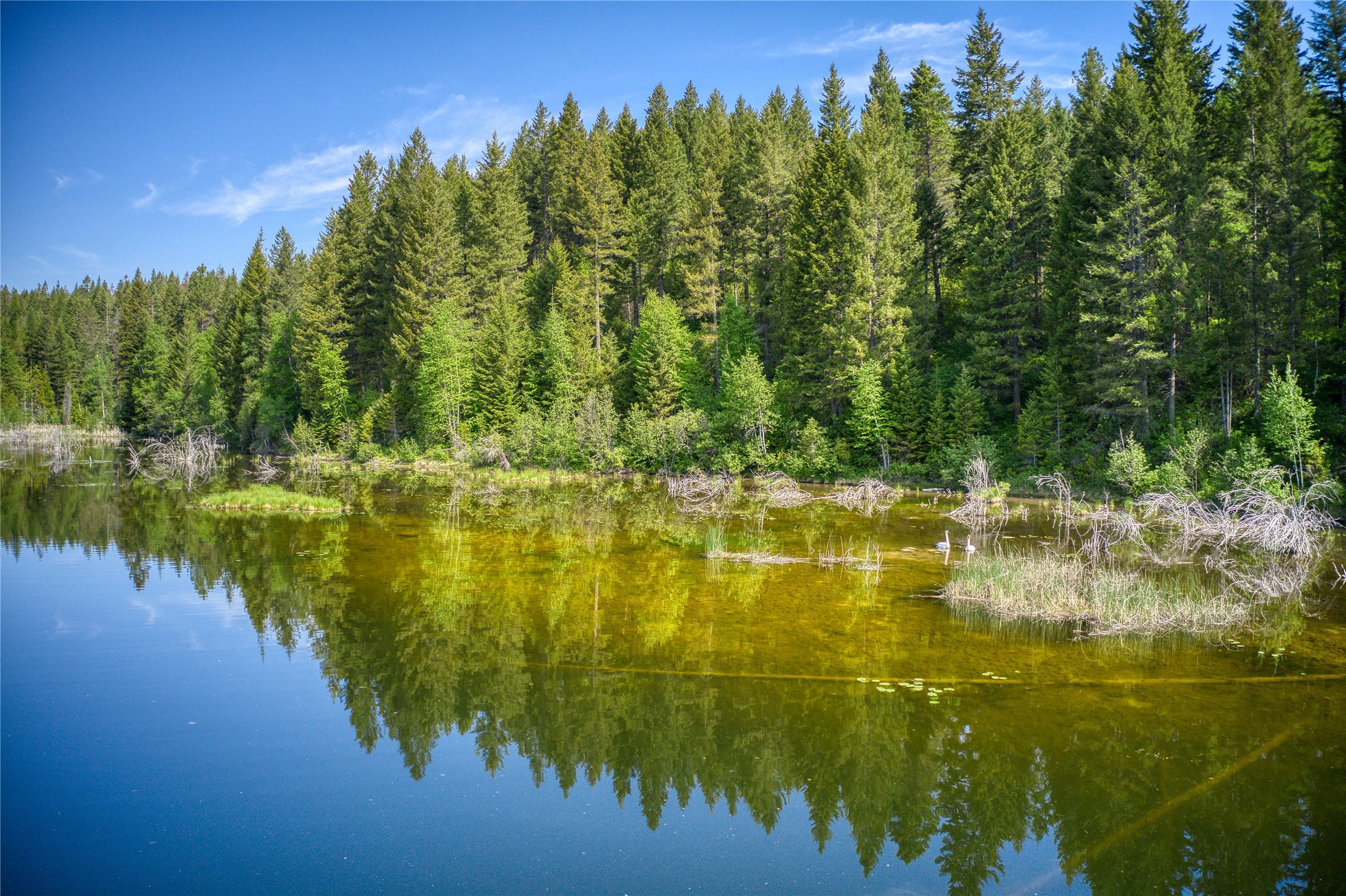 2280 North Fork Road Property Photo 49