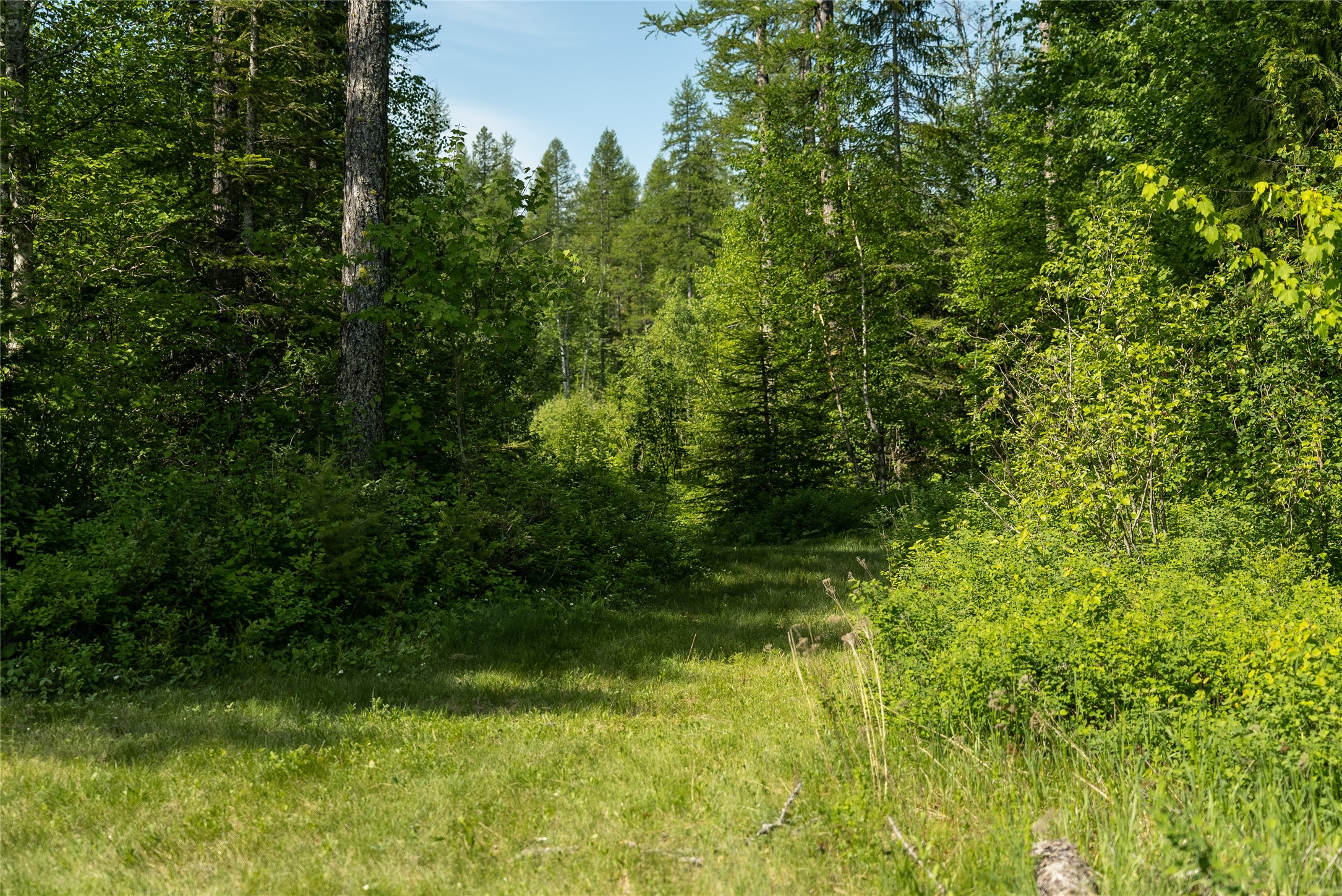 2280 North Fork Road Property Photo 47