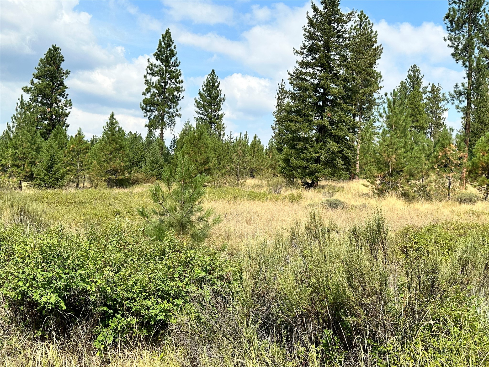 39 Bighorn Bluff Loop Property Photo 1