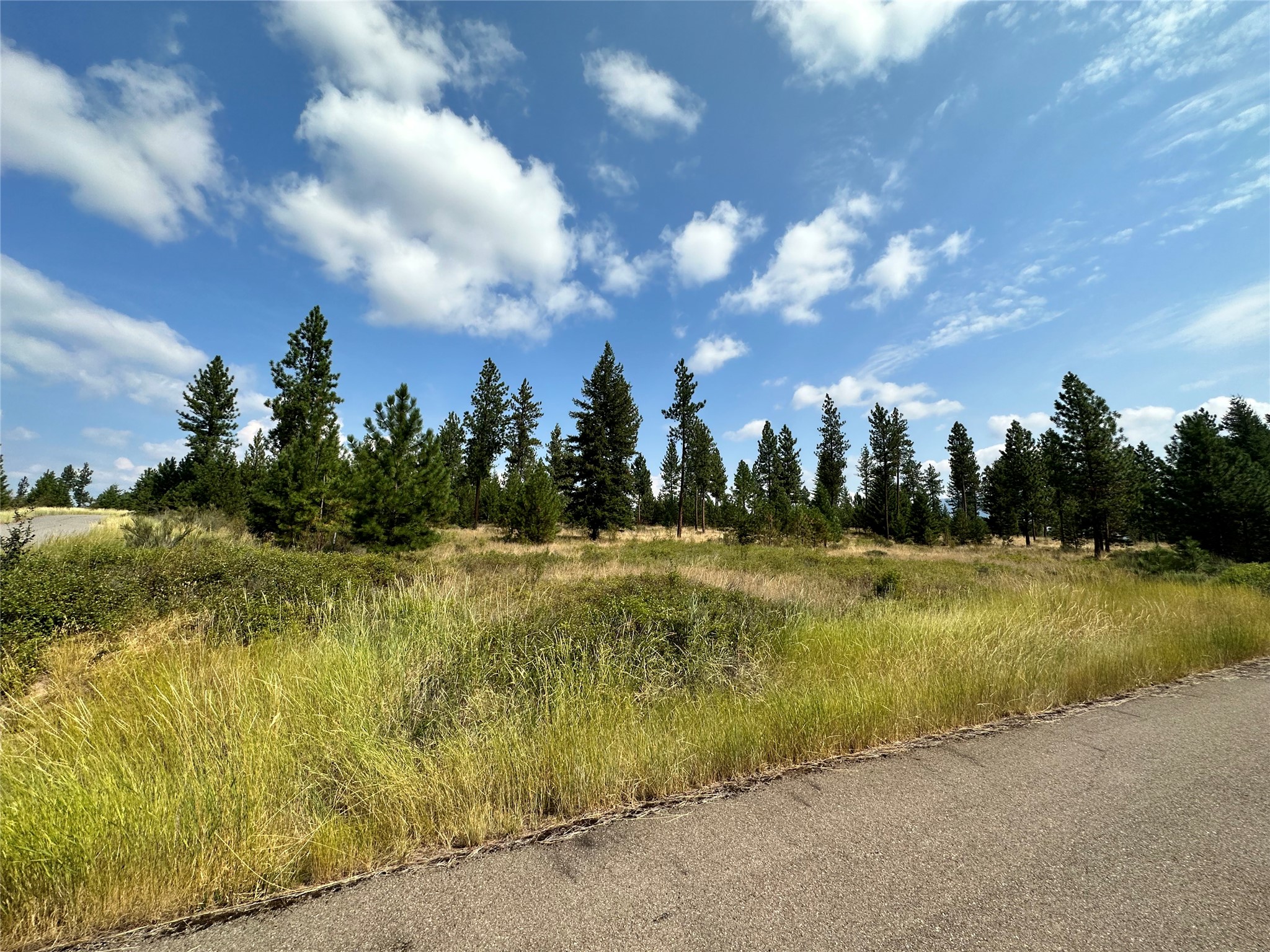 39 Bighorn Bluff Loop Property Photo 2