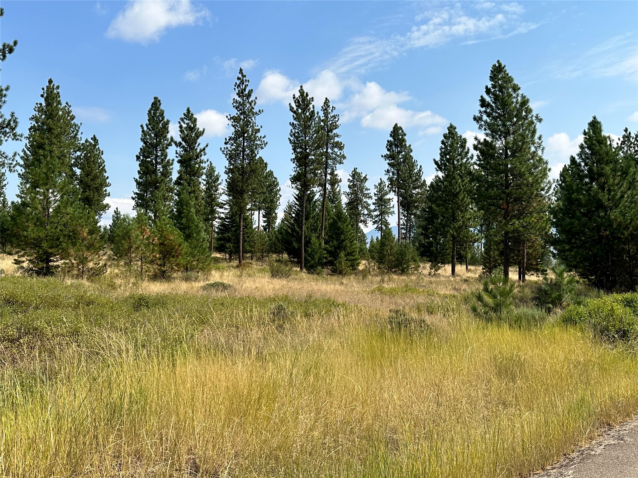 39 Bighorn Bluff Loop Property Photo 3
