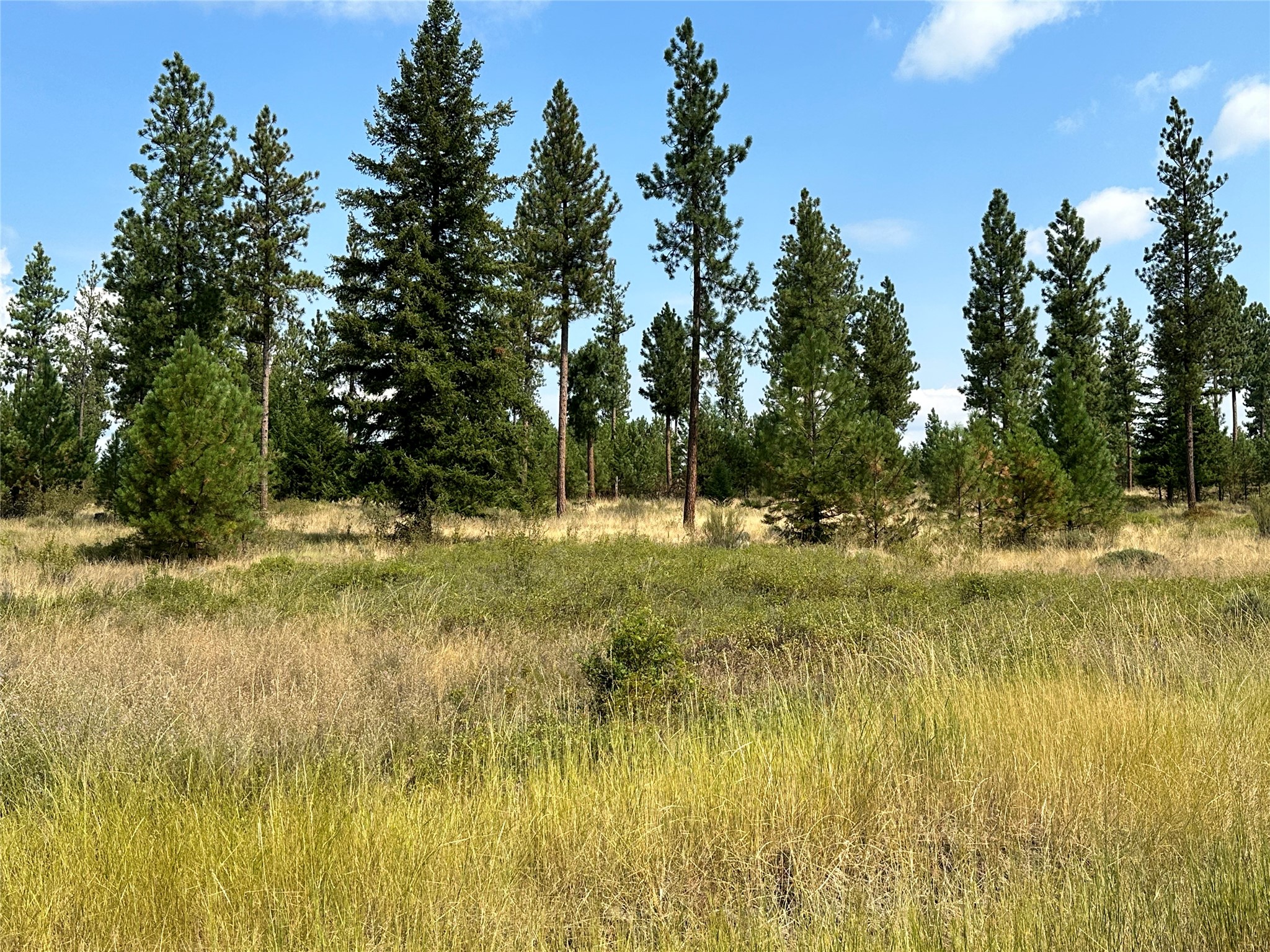 39 Bighorn Bluff Loop Property Photo 4