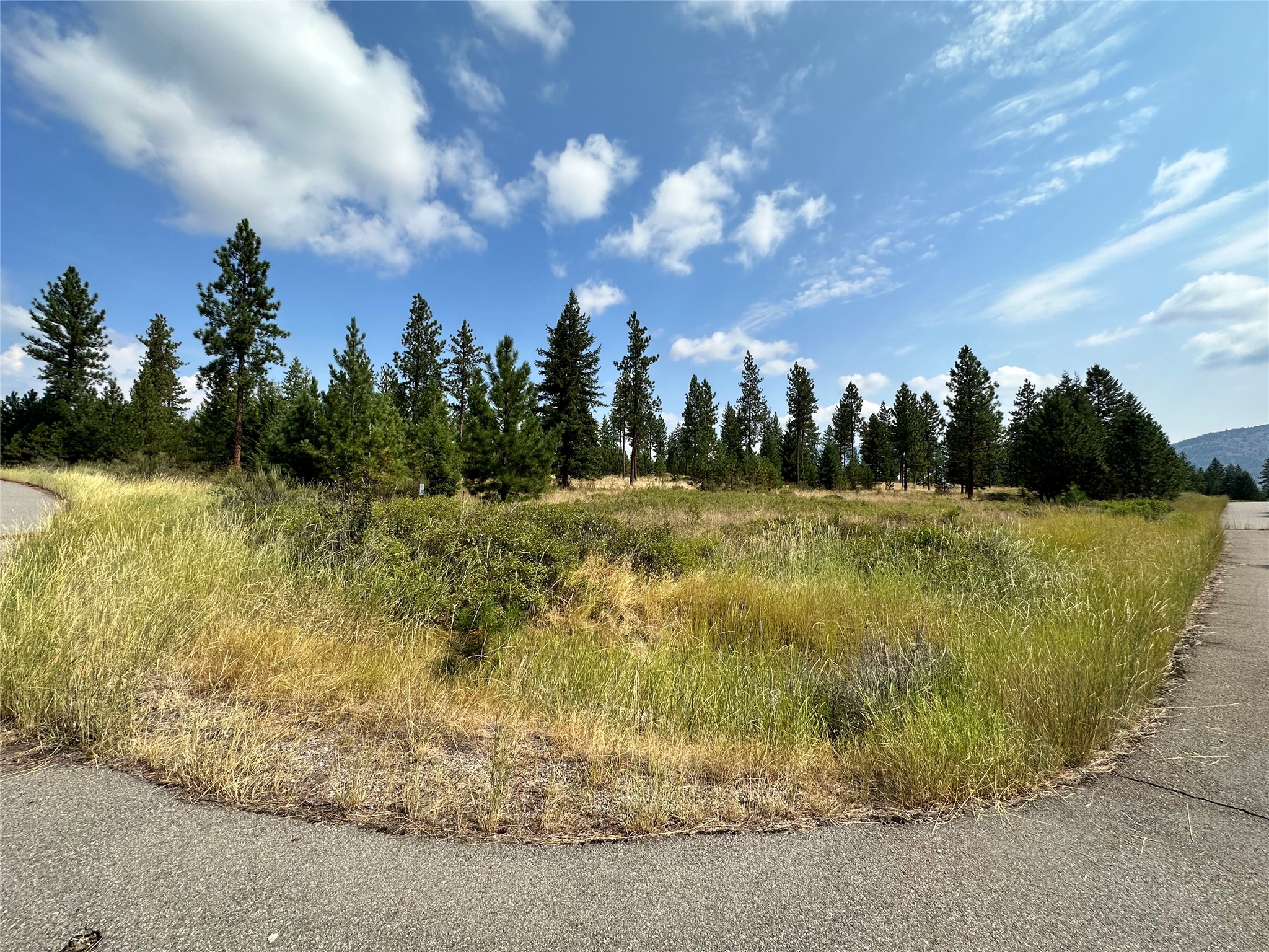 39 Bighorn Bluff Loop Property Photo 5
