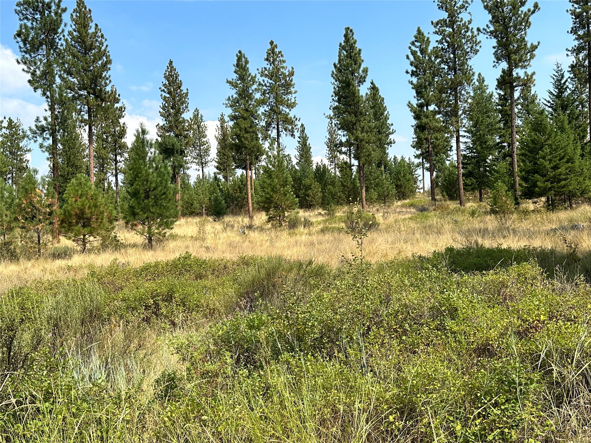 39 Bighorn Bluff Loop Property Photo 6
