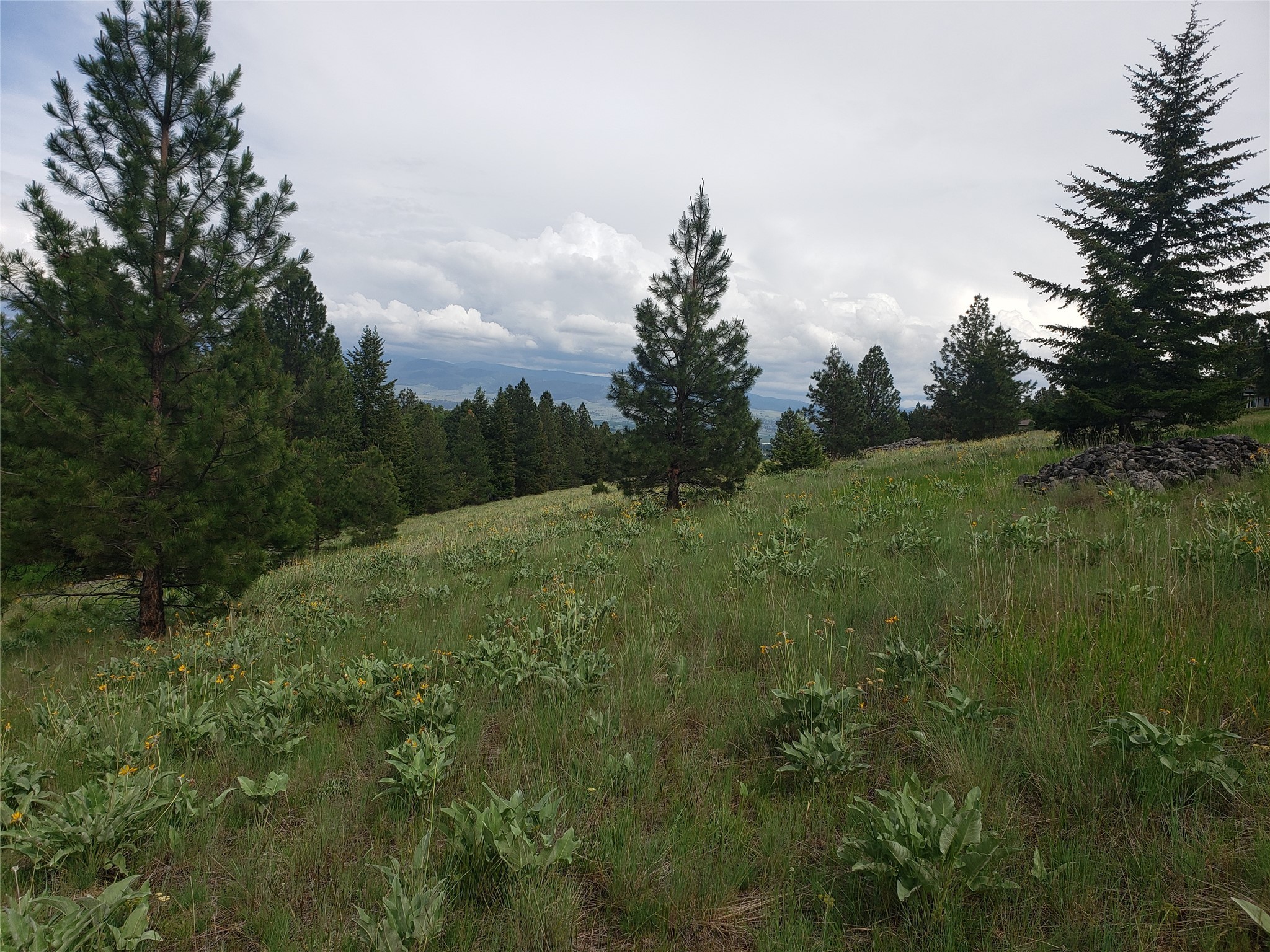 Nhn Oertli Lane Property Photo 1