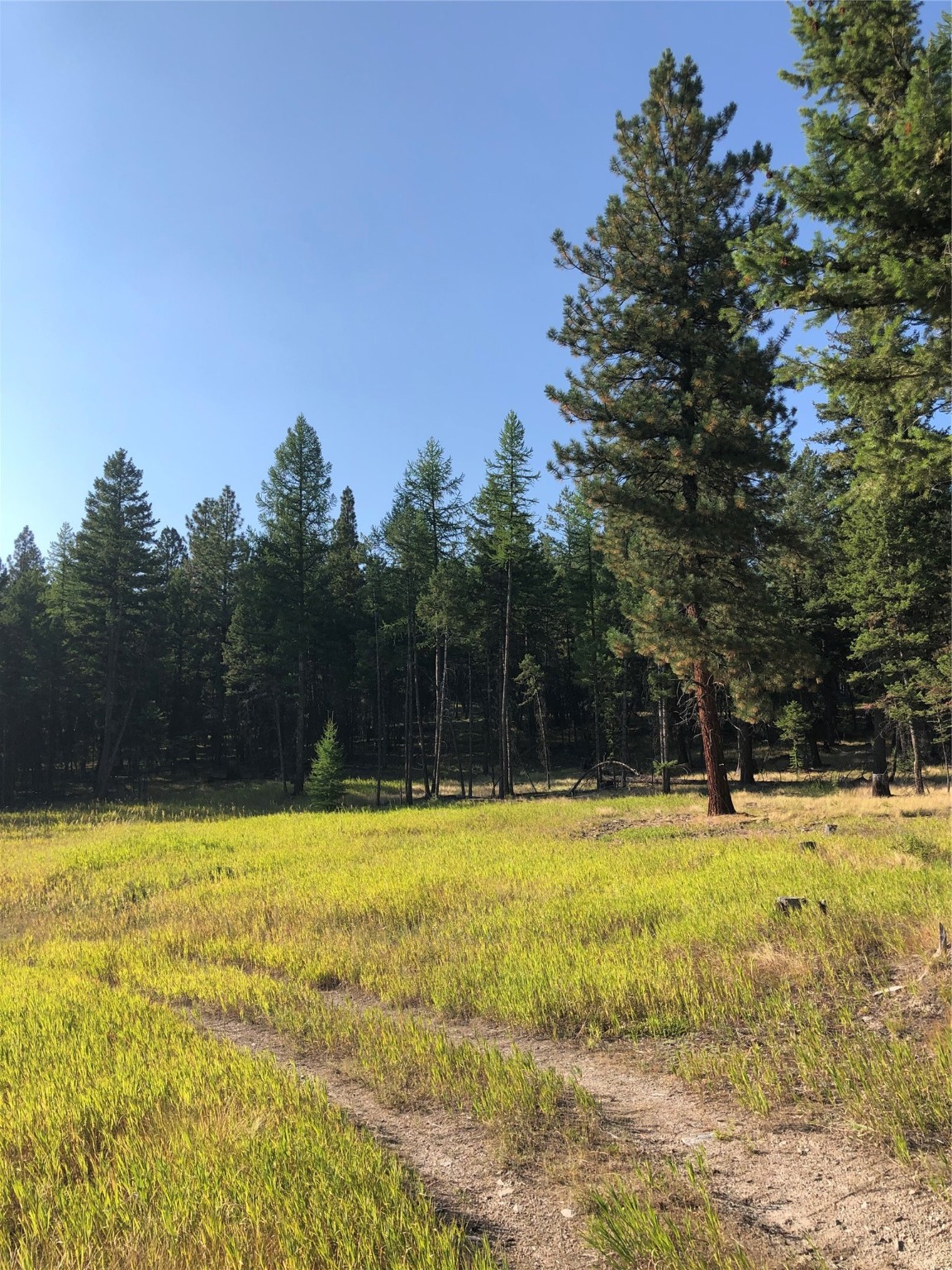 Nhn Sickler Creek Road Property Photo 1