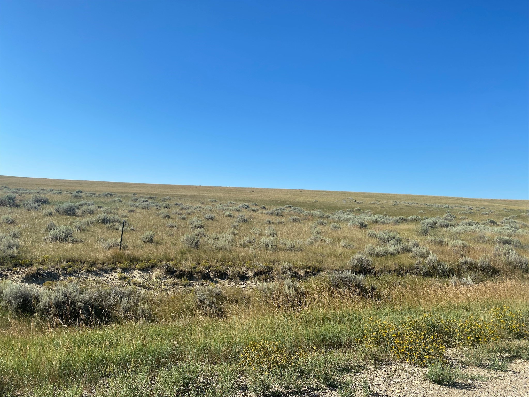 Tract 25 Antelope Road Property Photo 1