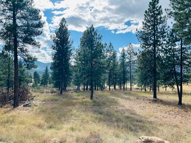Nhn River Road W Property Photo 1