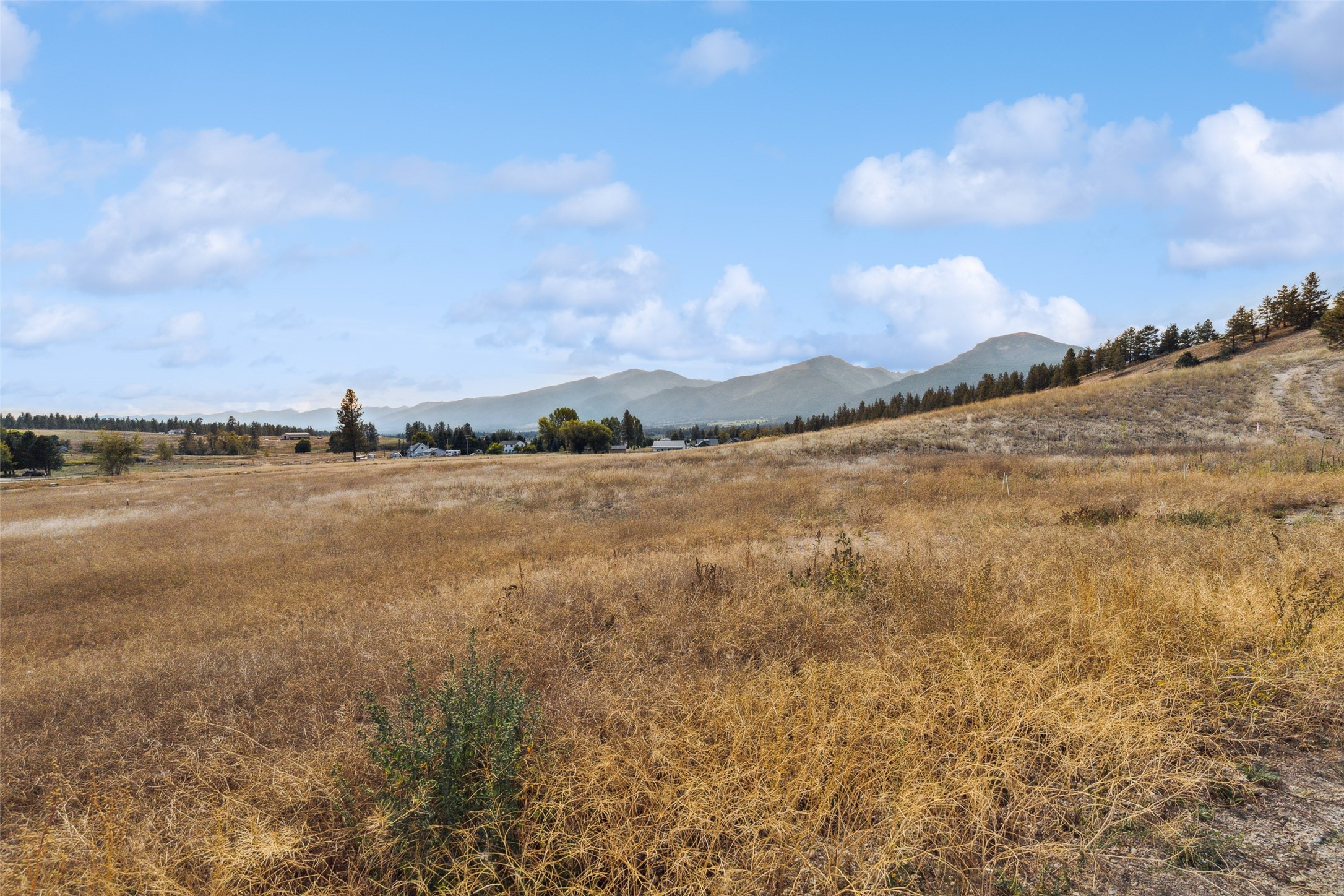 235 Miles Gulch Road Property Photo 6