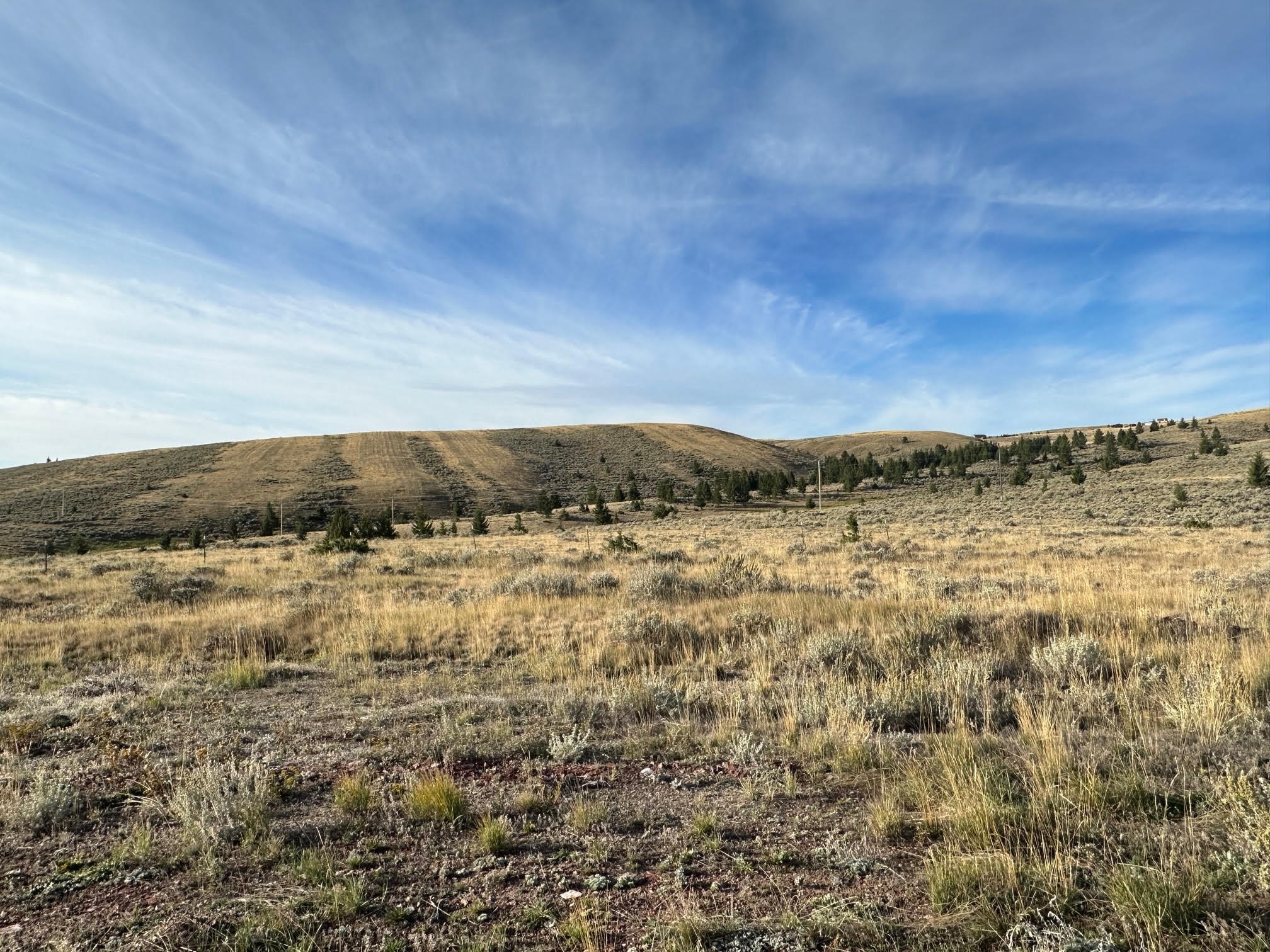 58 Mountain View Trail Property Photo 6
