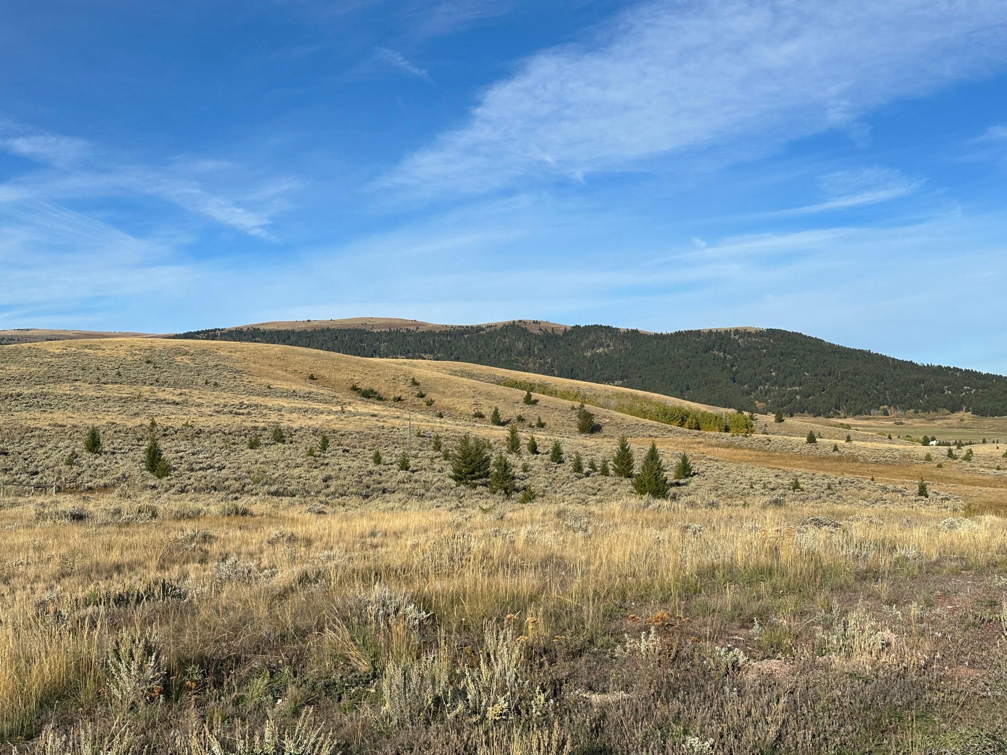 58 Mountain View Trail Property Photo 7