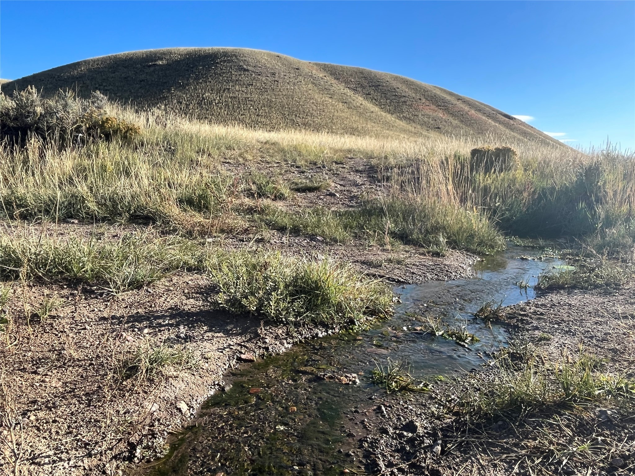 880 Chreston Lane Property Photo 26