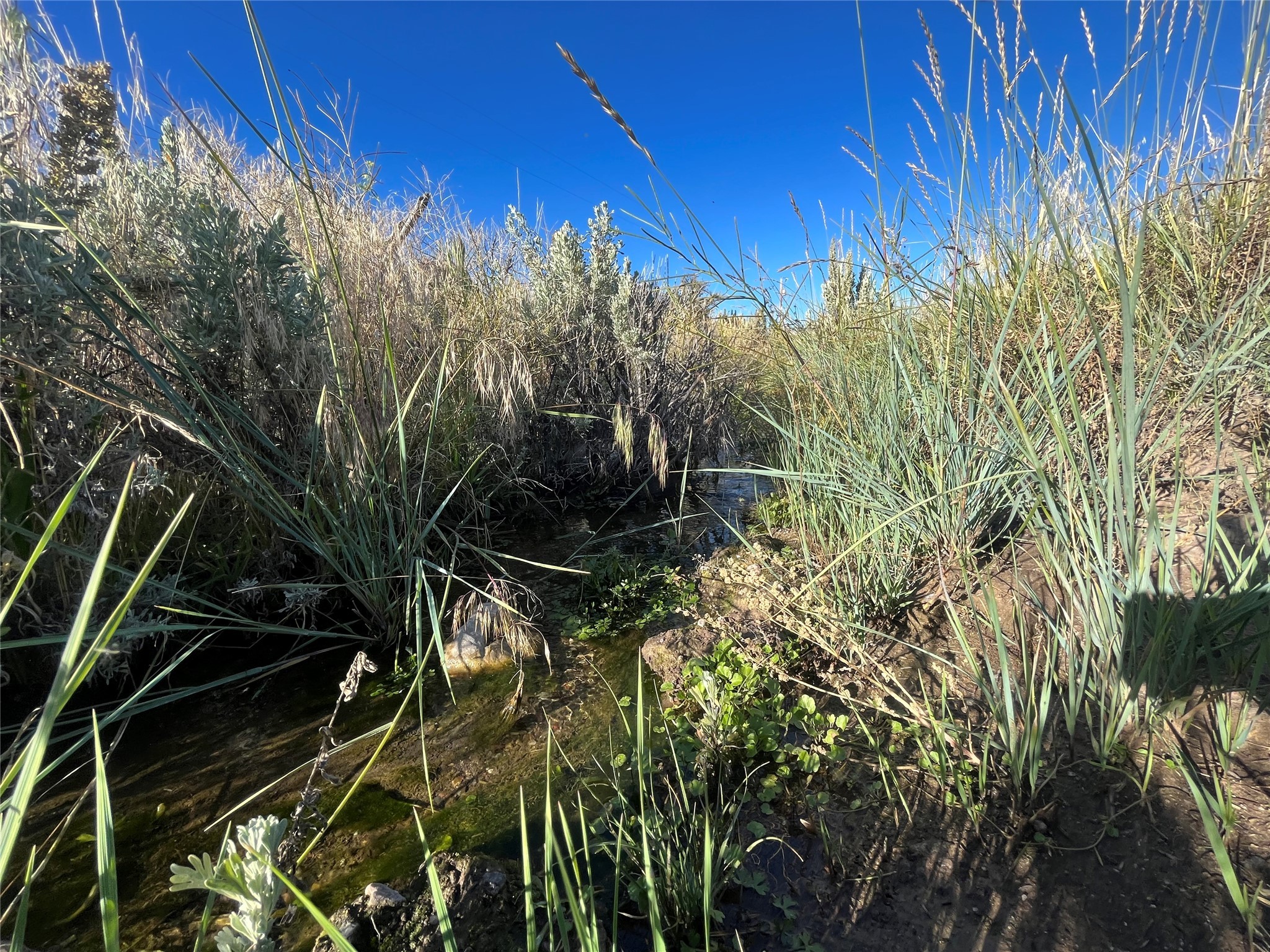 880 Chreston Lane Property Photo 27