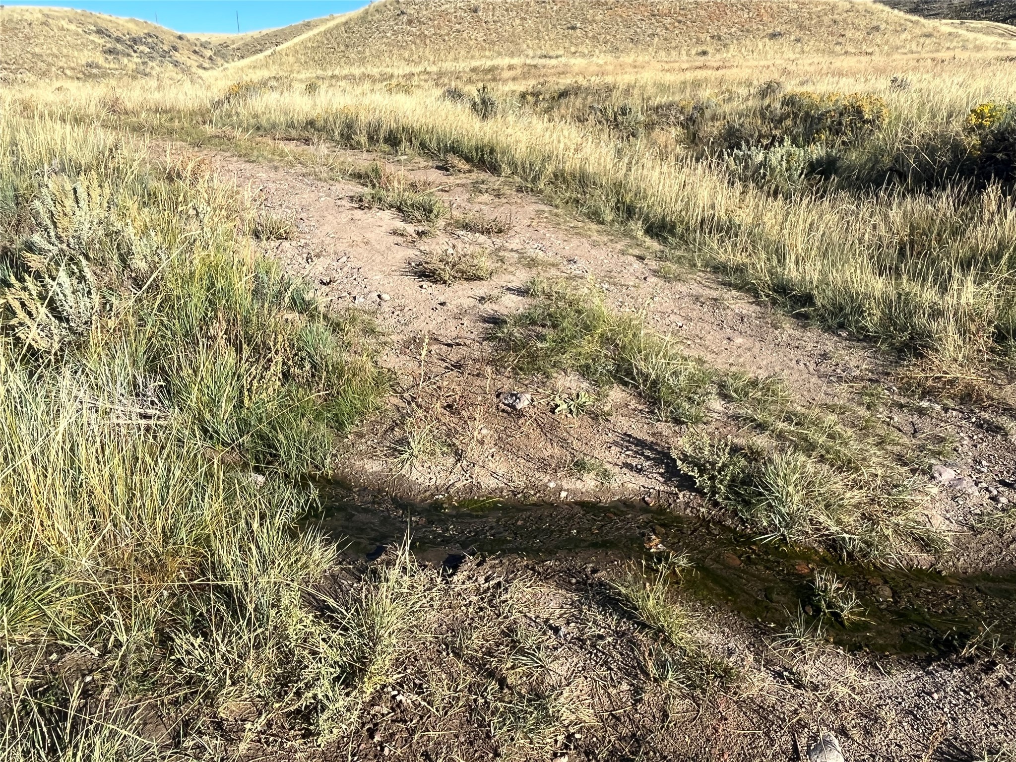 880 Chreston Lane Property Photo 28