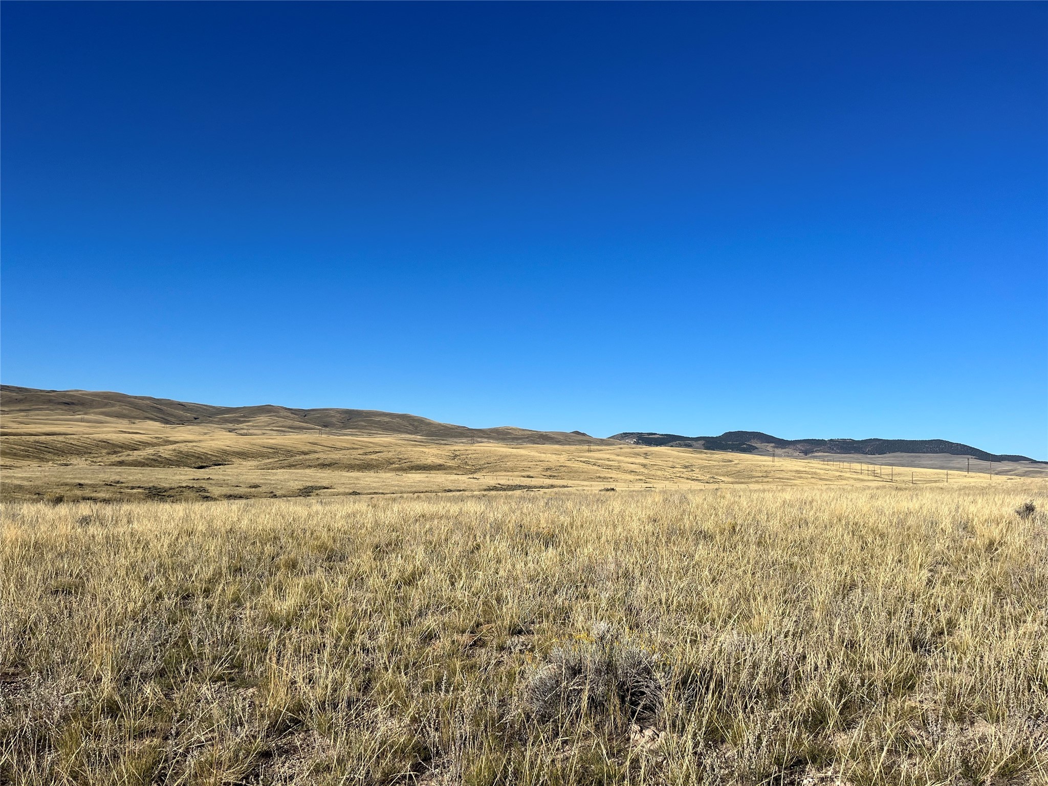 880 Chreston Lane Property Photo 31