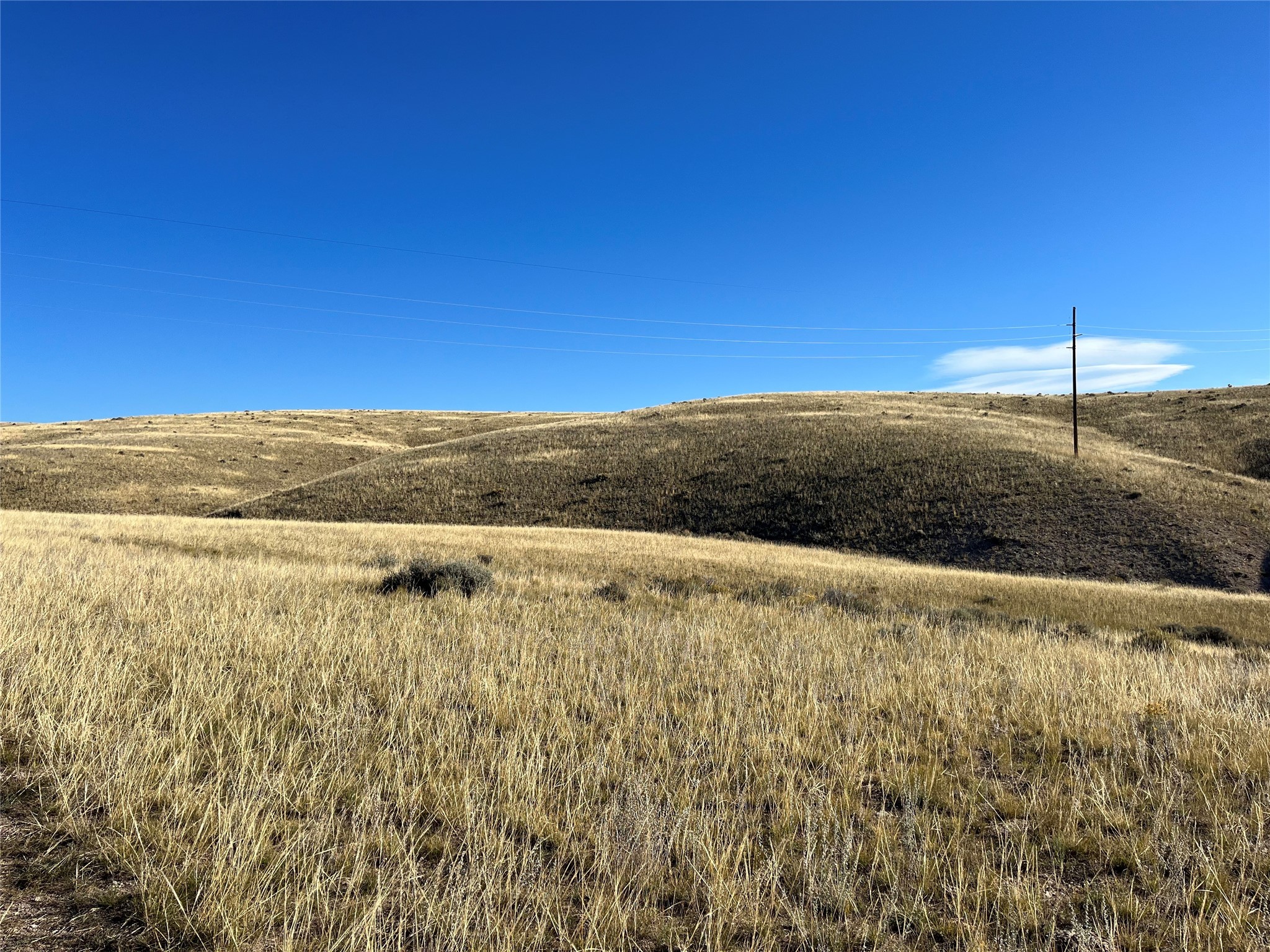 880 Chreston Lane Property Photo 32