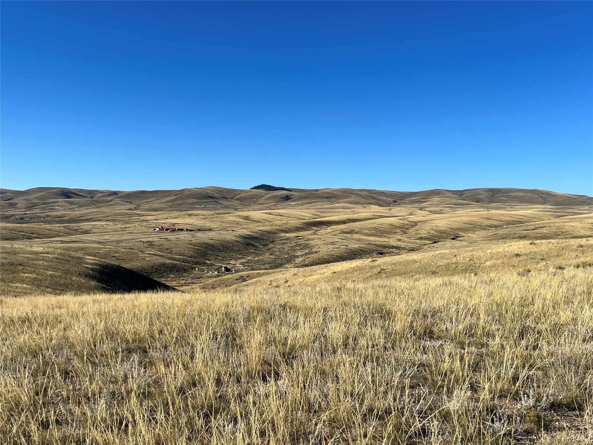 880 Chreston Lane Property Photo 37