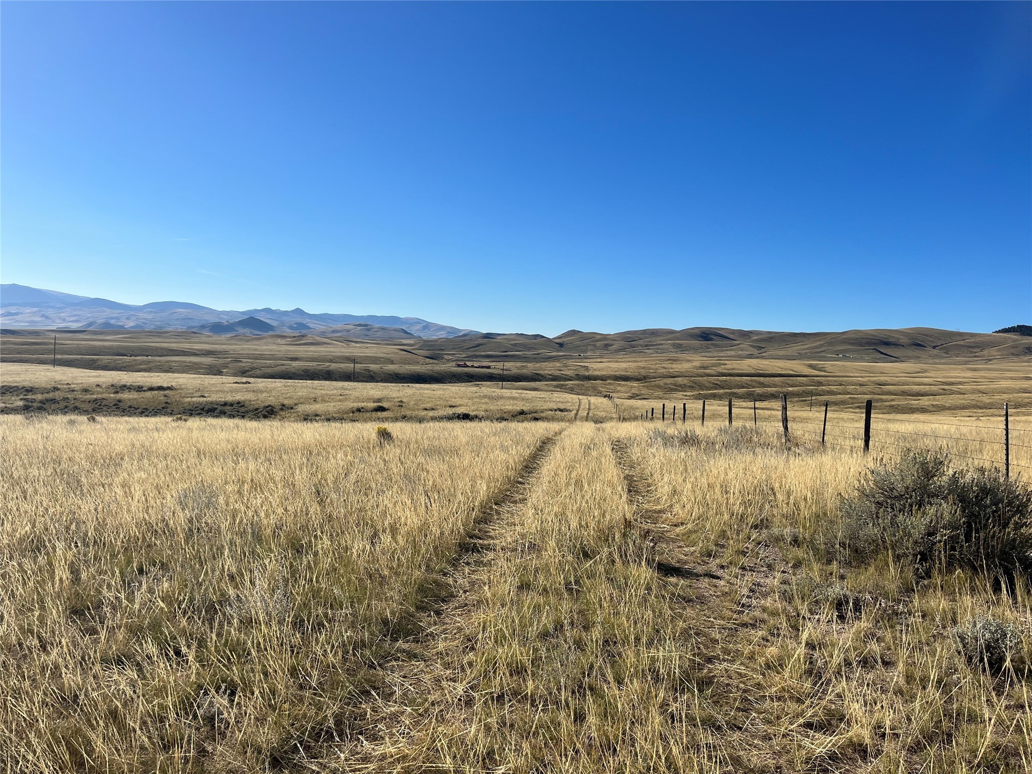 880 Chreston Lane Property Photo 40