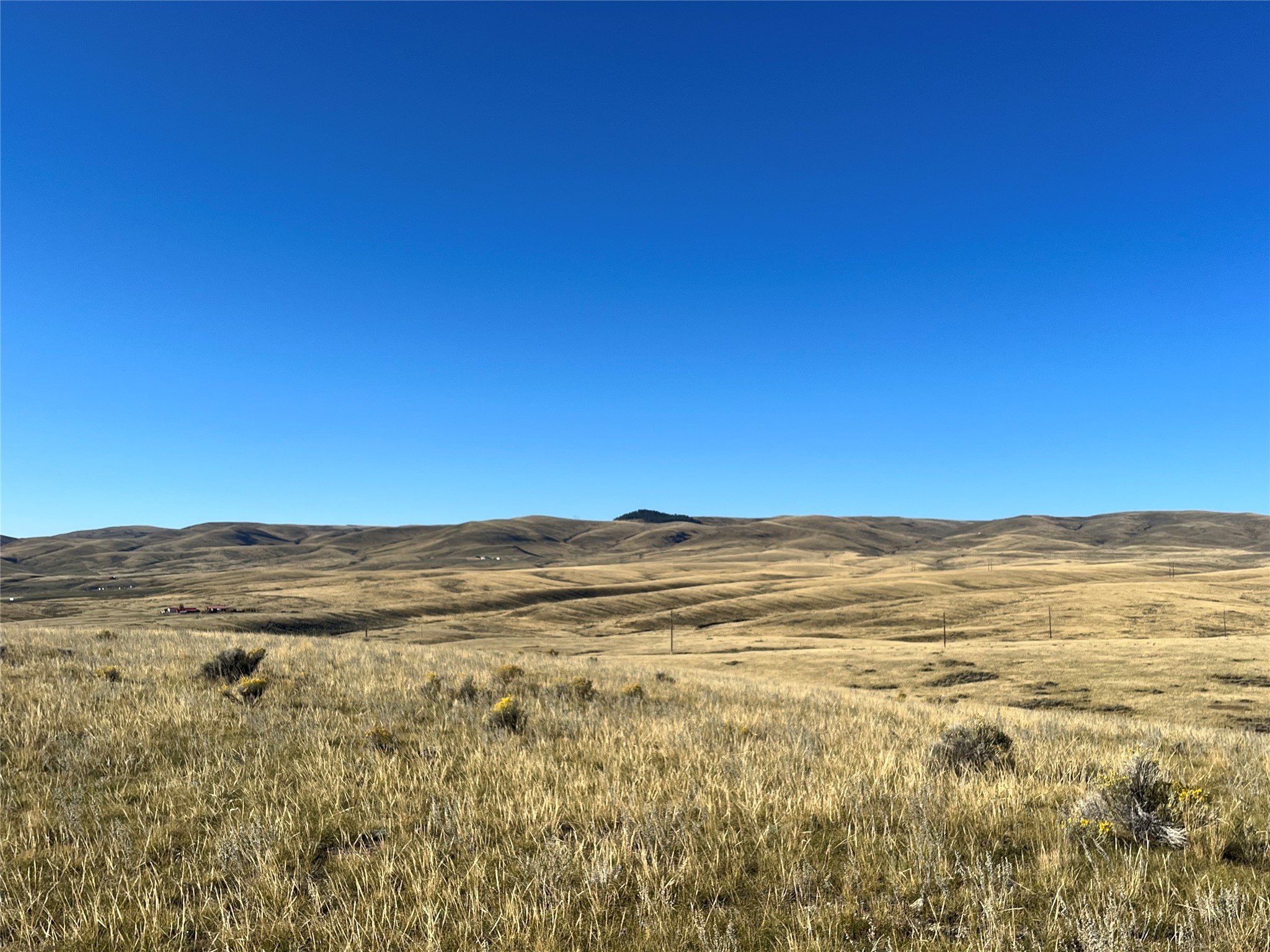 880 Chreston Lane Property Photo 42