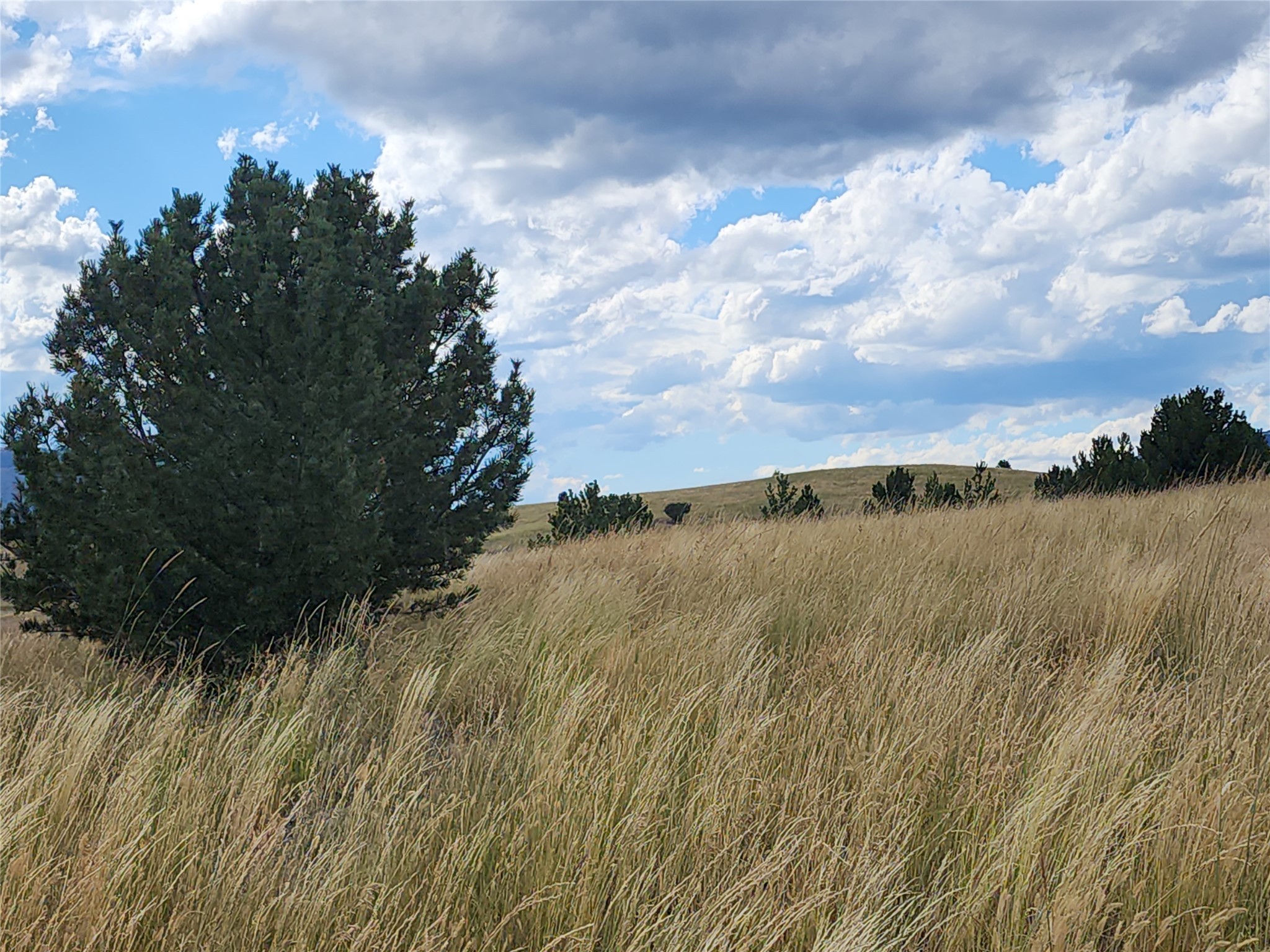Tbd Tbd Property Photo 5