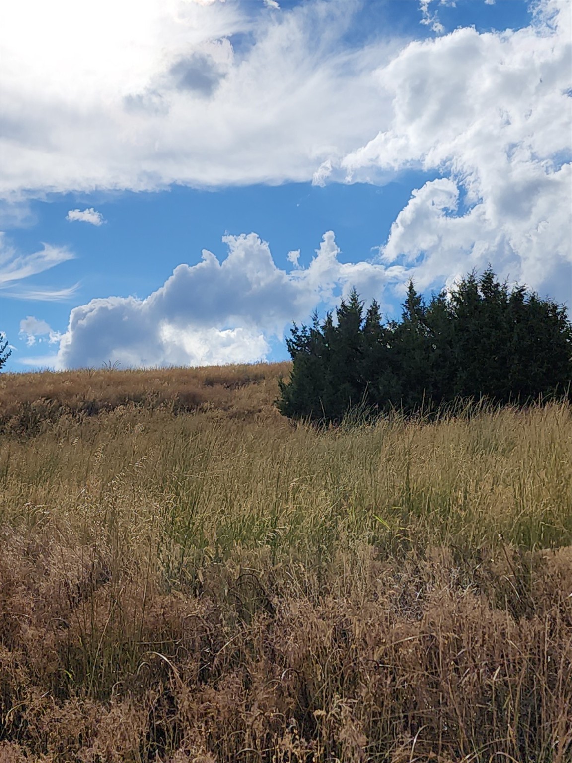 Tbd Tbd Property Photo 7