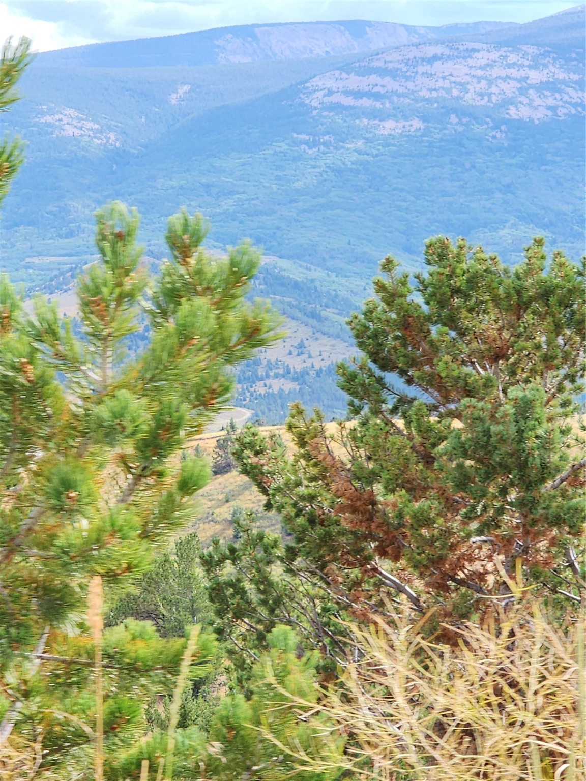 Tbd Tbd Property Photo 9