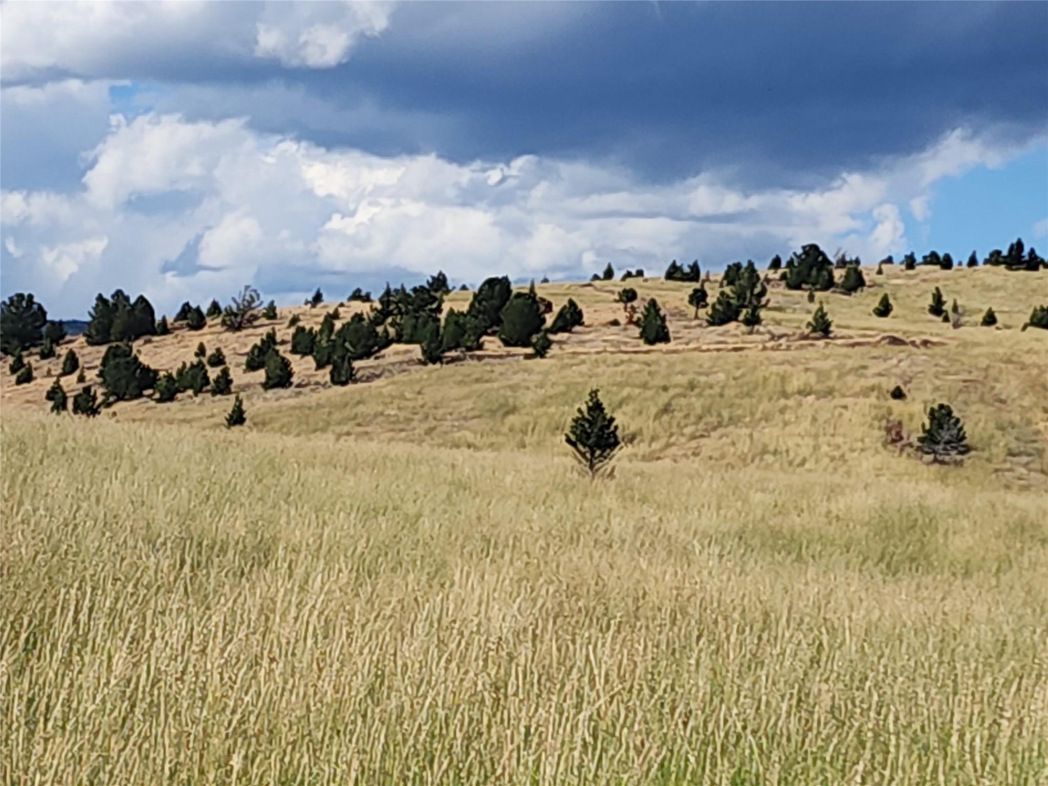 Tbd Tbd Property Photo 18
