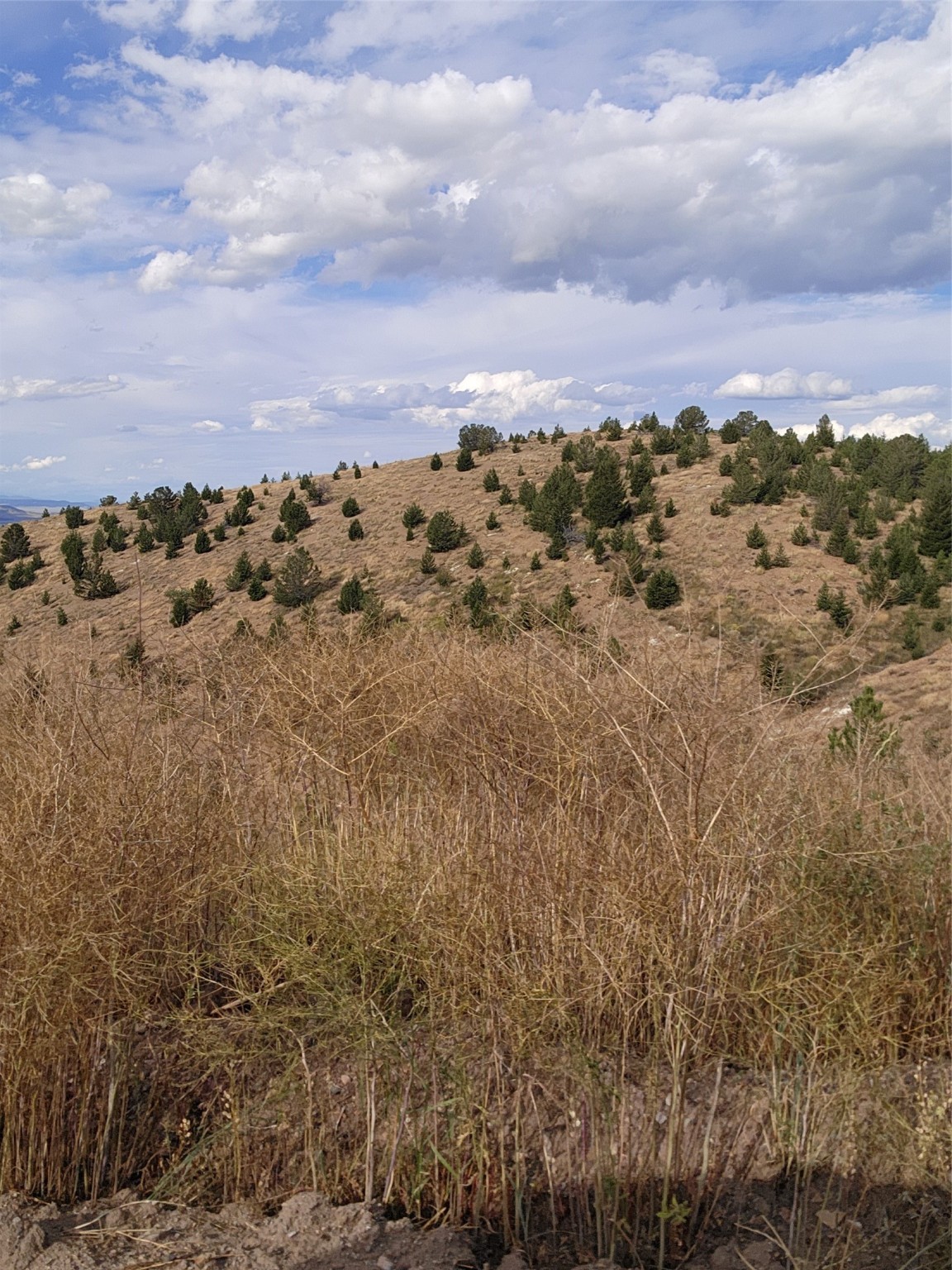 Tbd Tbd Property Photo 24