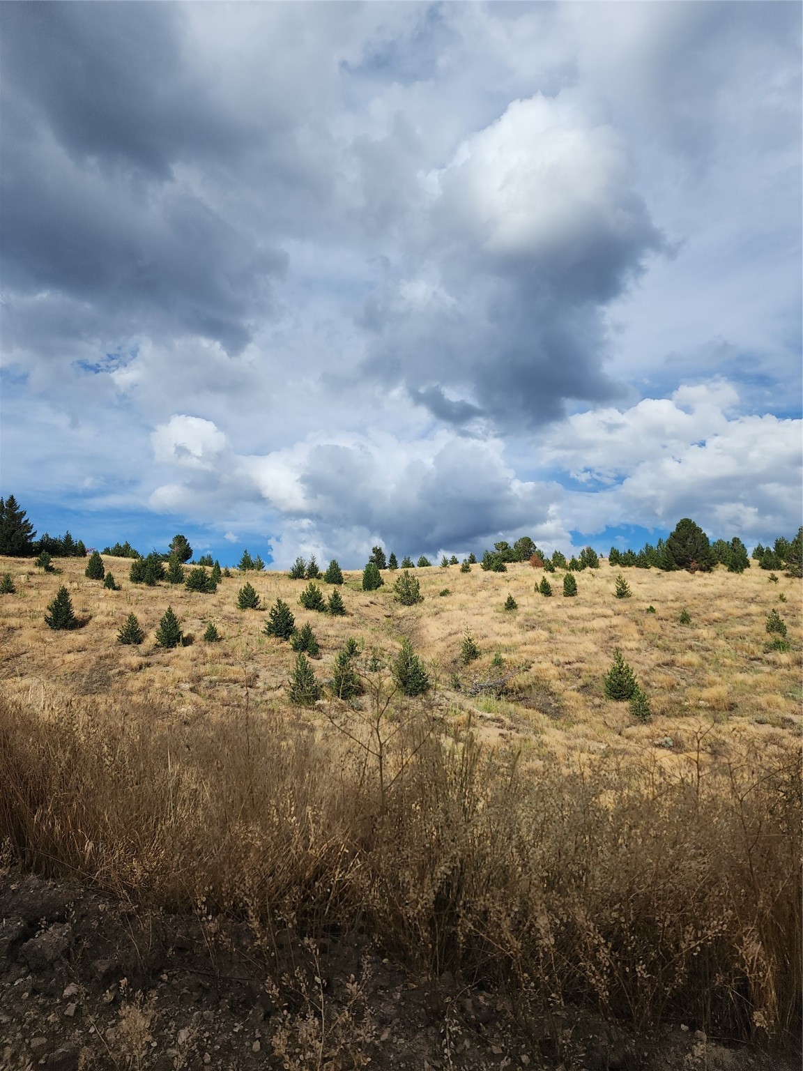 Tbd Tbd Property Photo 25
