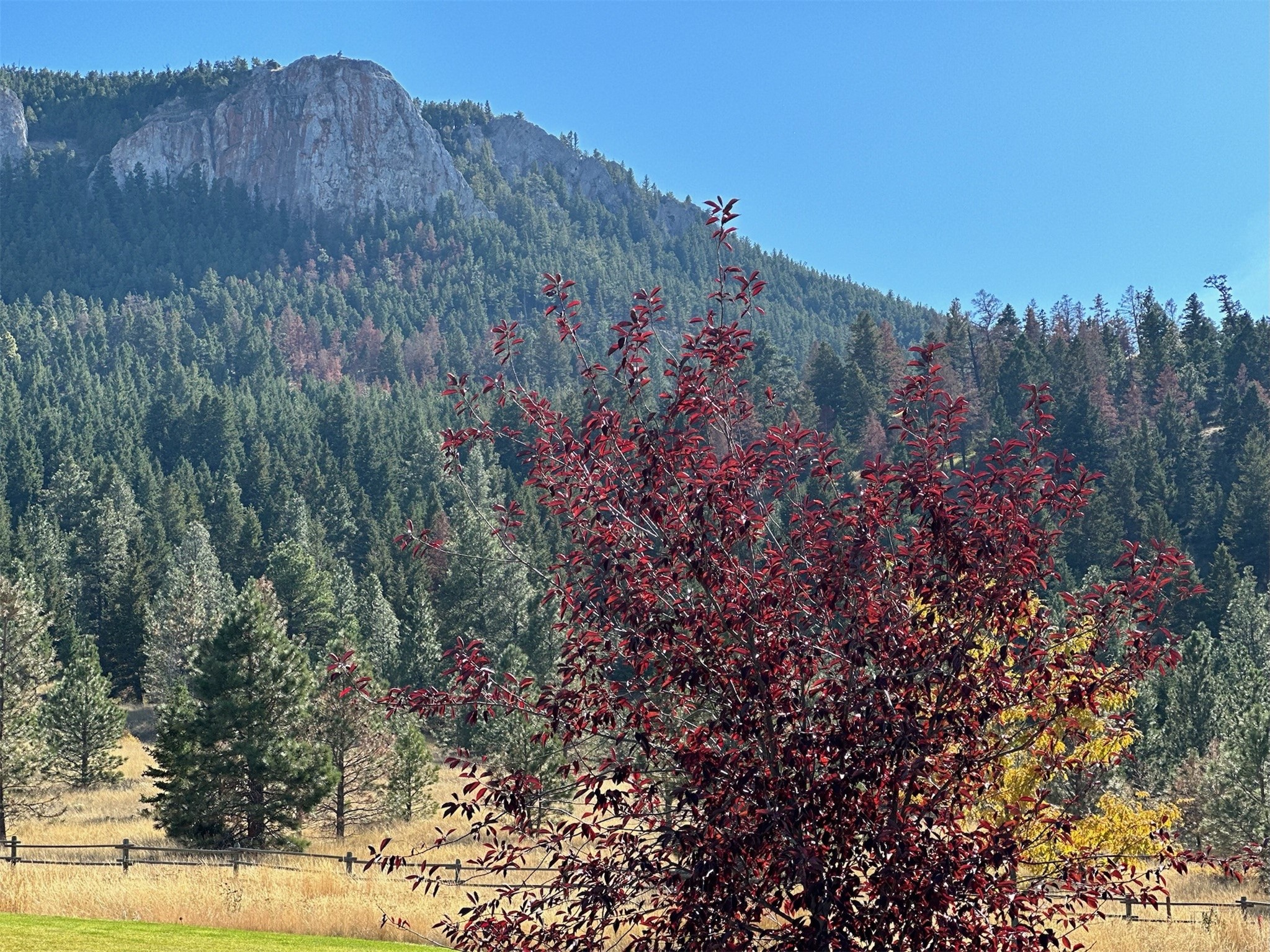 Nhn Highview Way Property Photo 3