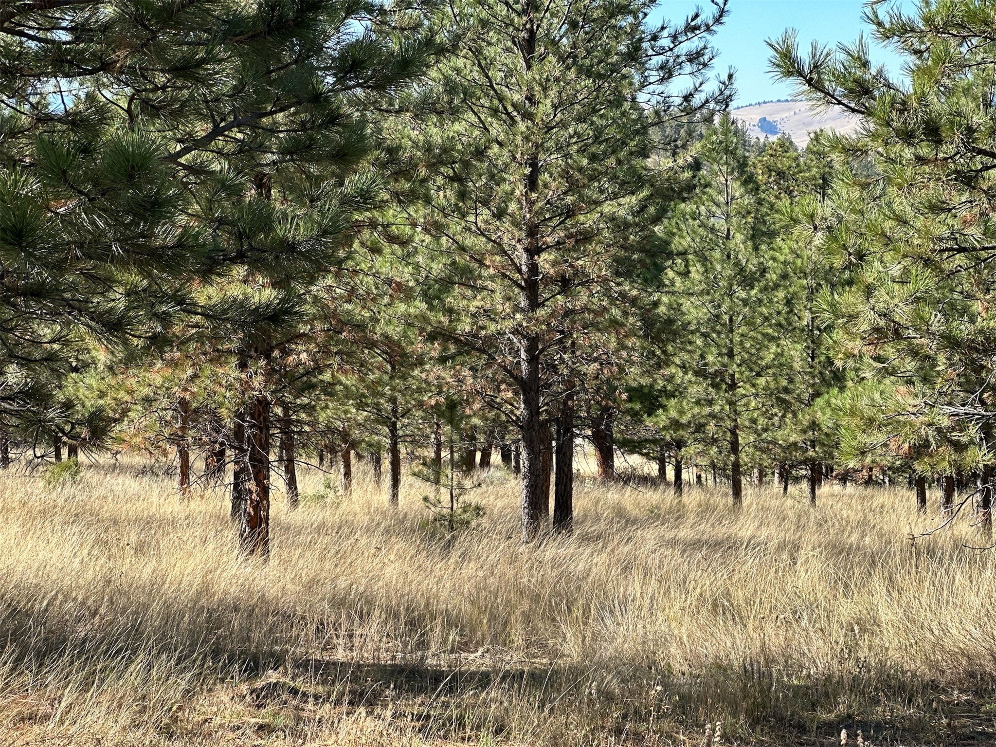 Nhn Highview Way Property Photo 4