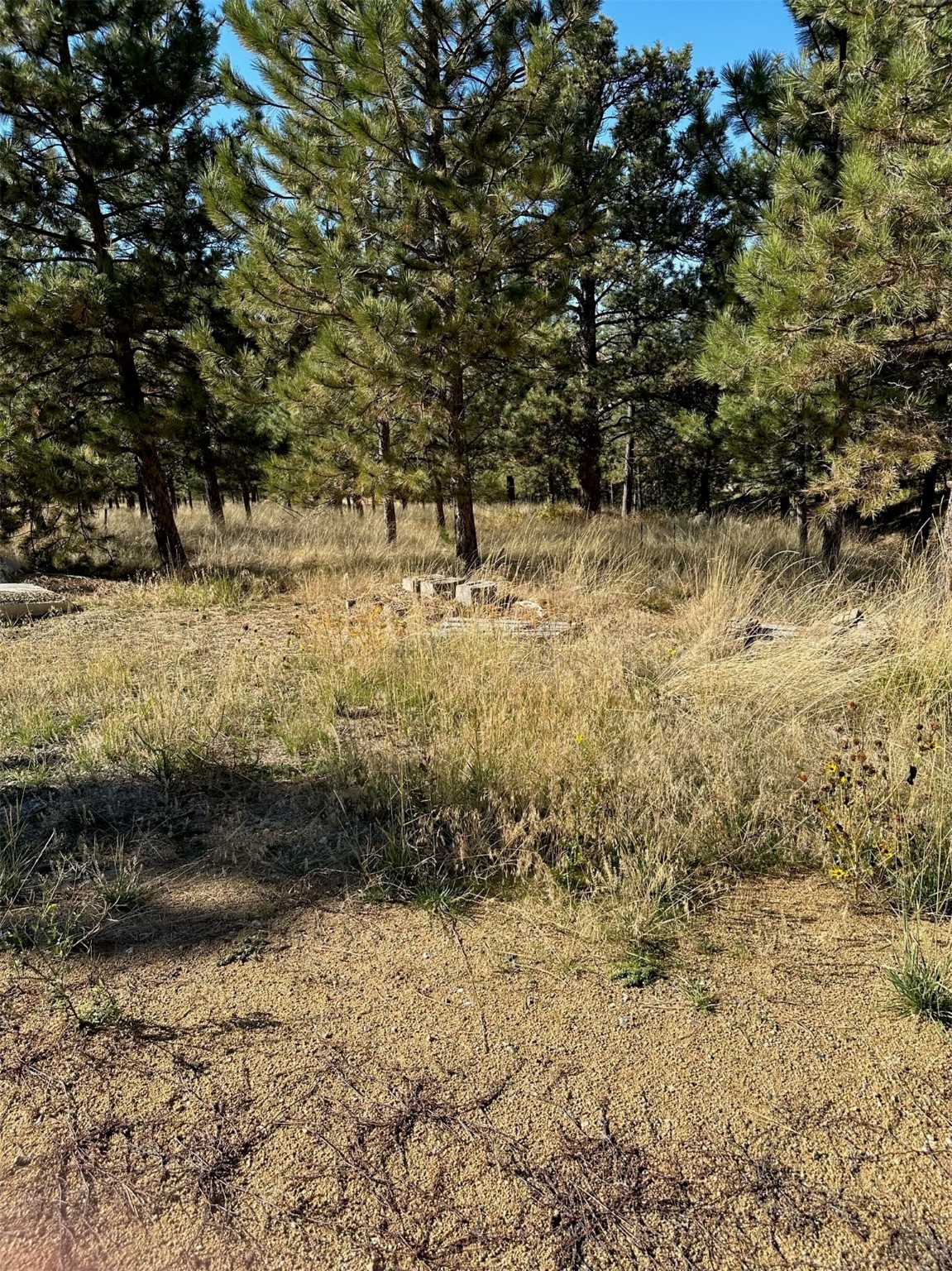 Nhn Highview Way Property Photo 9