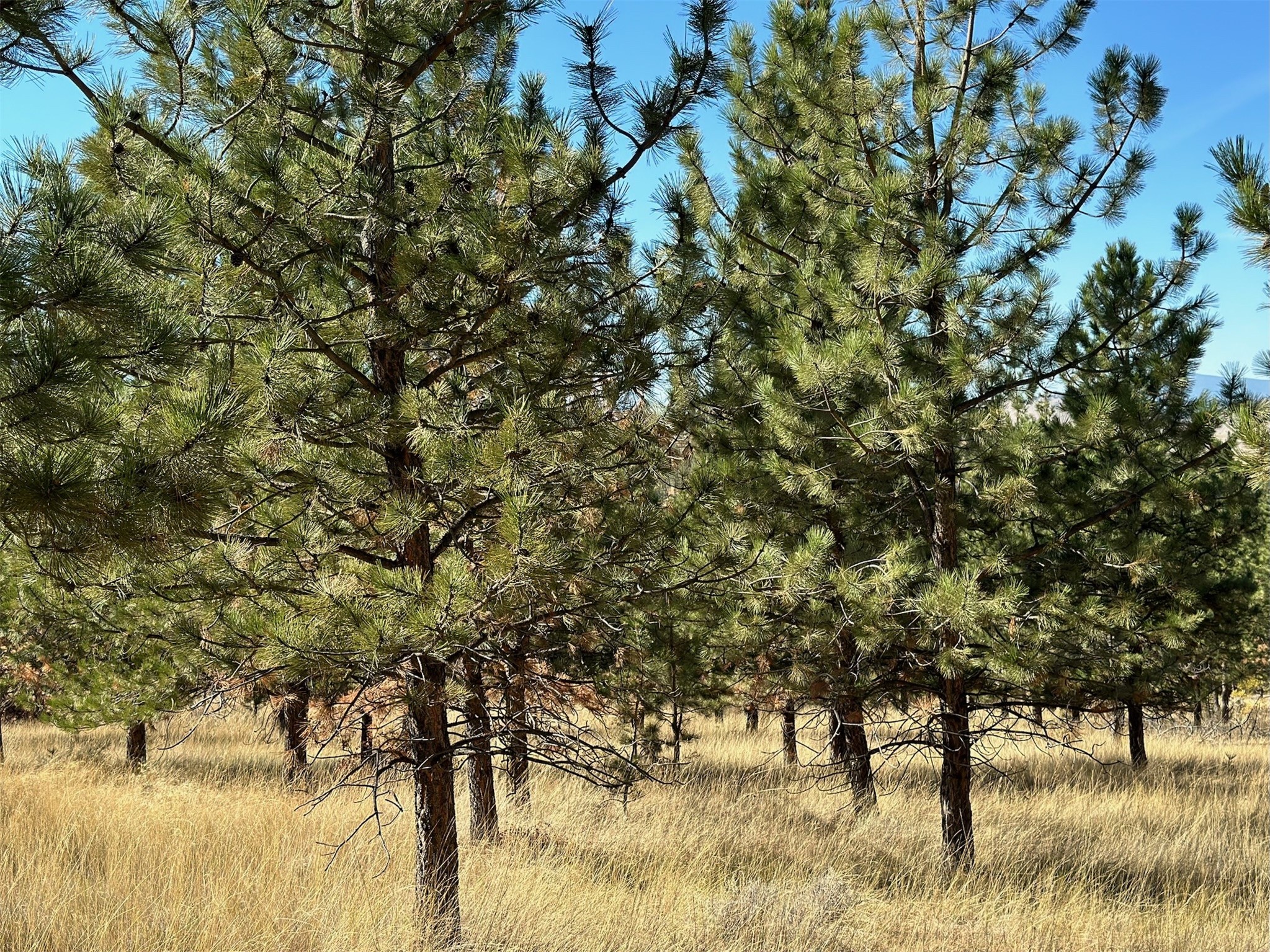 Nhn Highview Way Property Photo 11