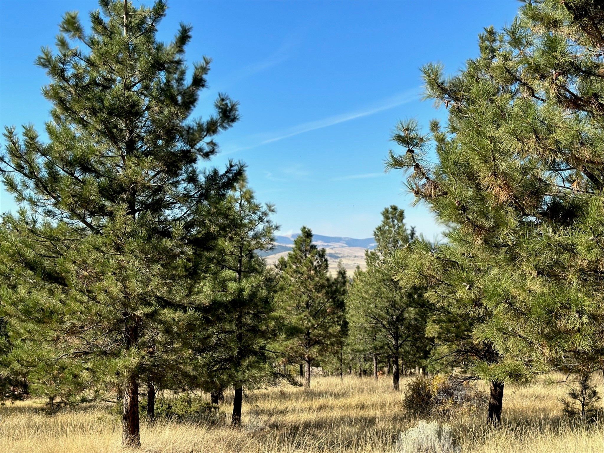 Nhn Highview Way Property Photo 13