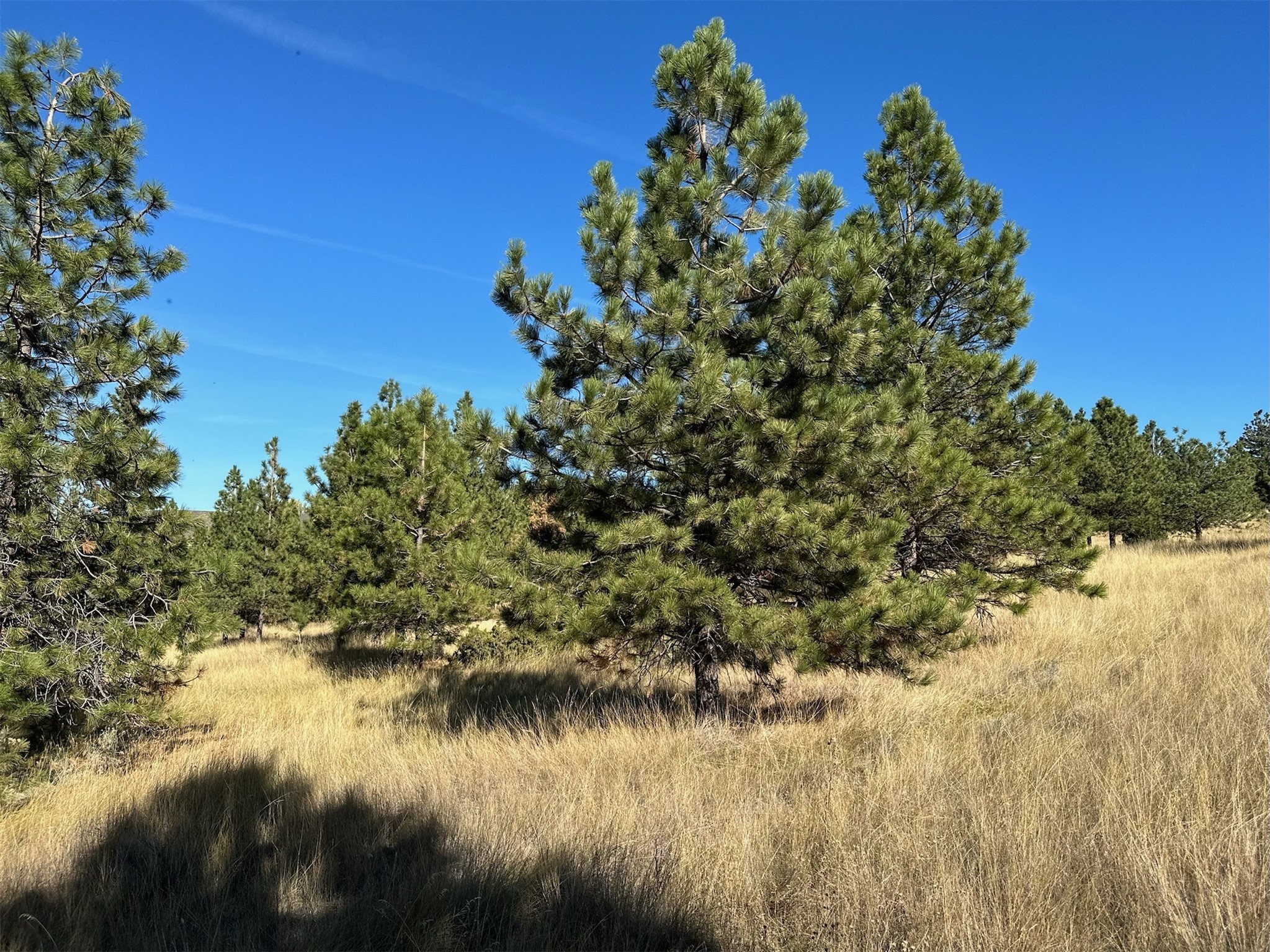 Nhn Highview Way Property Photo 19