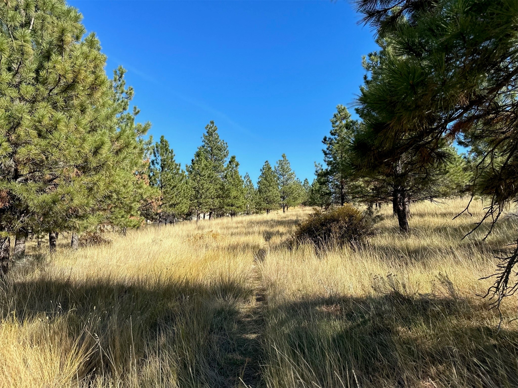 Nhn Highview Way Property Photo 20