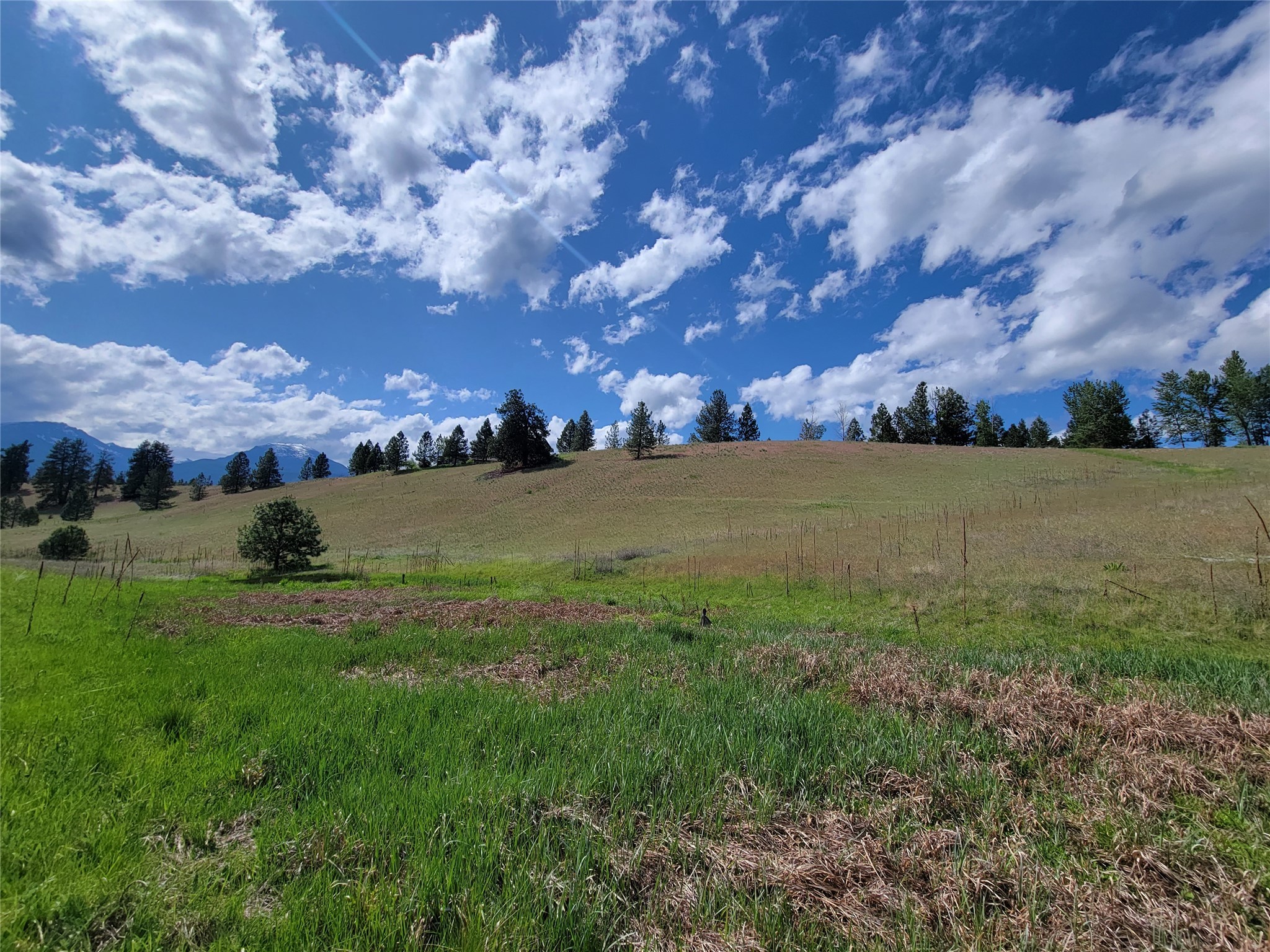 Lot 12 Barnwood Way Property Photo 3