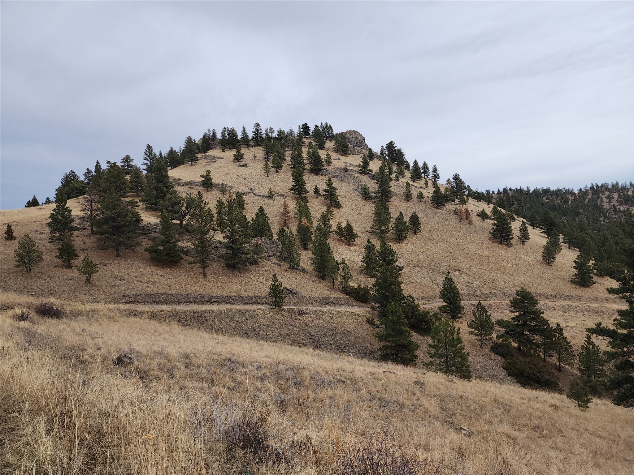 Tract 90 Hideaway Lane Property Photo 3