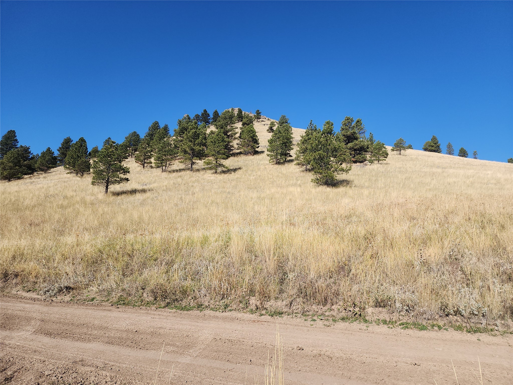 Tract 90 Hideaway Lane Property Photo 5