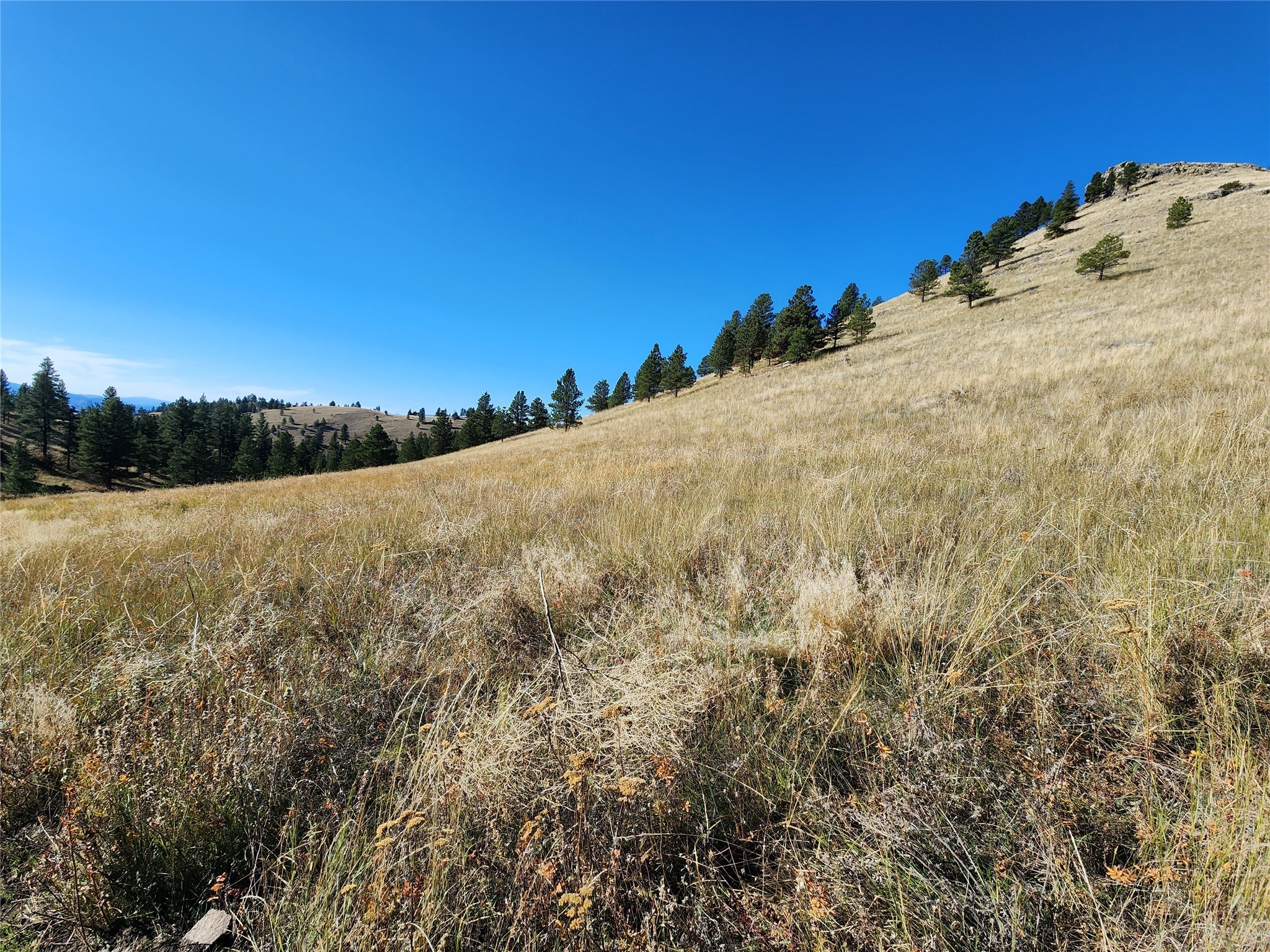 Tract 90 Hideaway Lane Property Photo 6