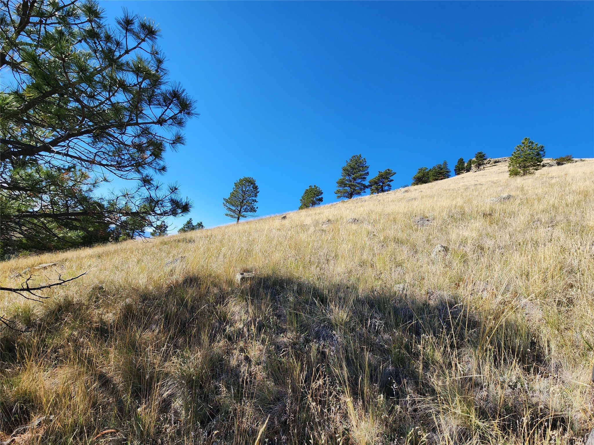 Tract 90 Hideaway Lane Property Photo 7