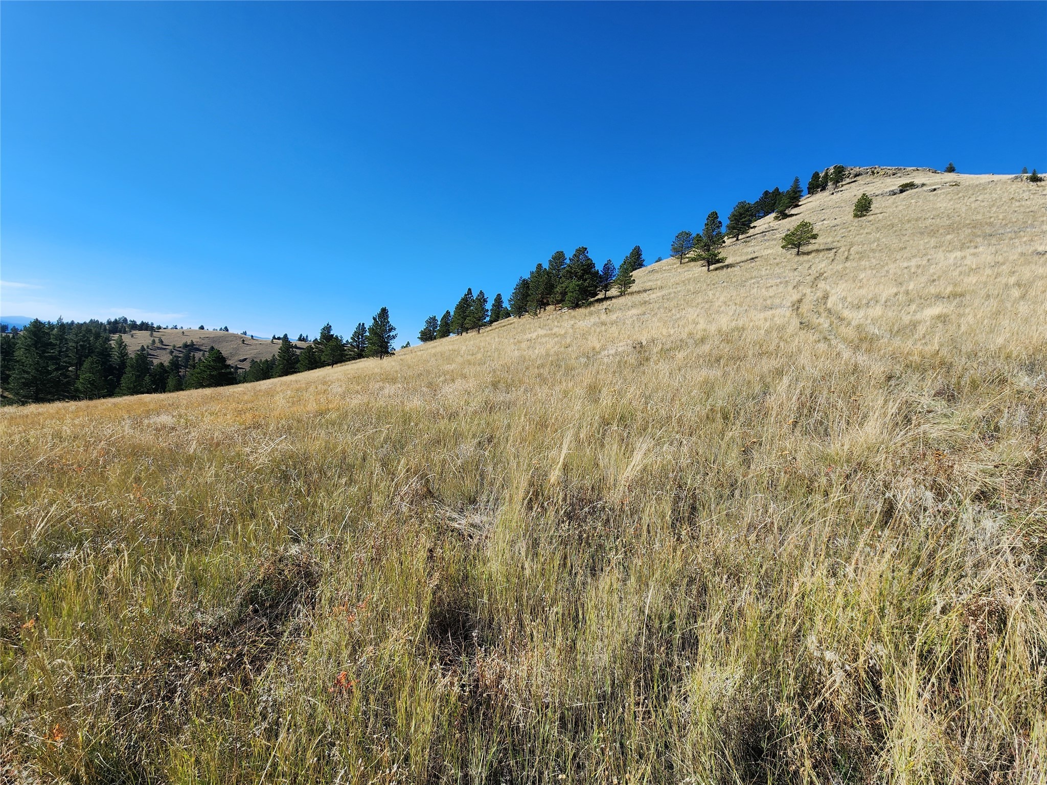 Tract 90 Hideaway Lane Property Photo 9