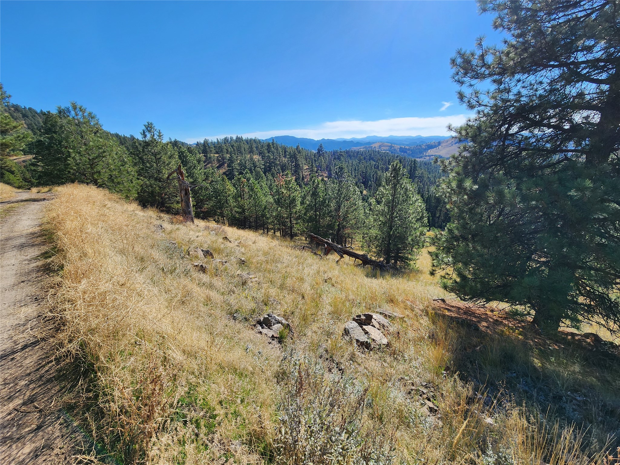 Tract 90 Hideaway Lane Property Photo 10