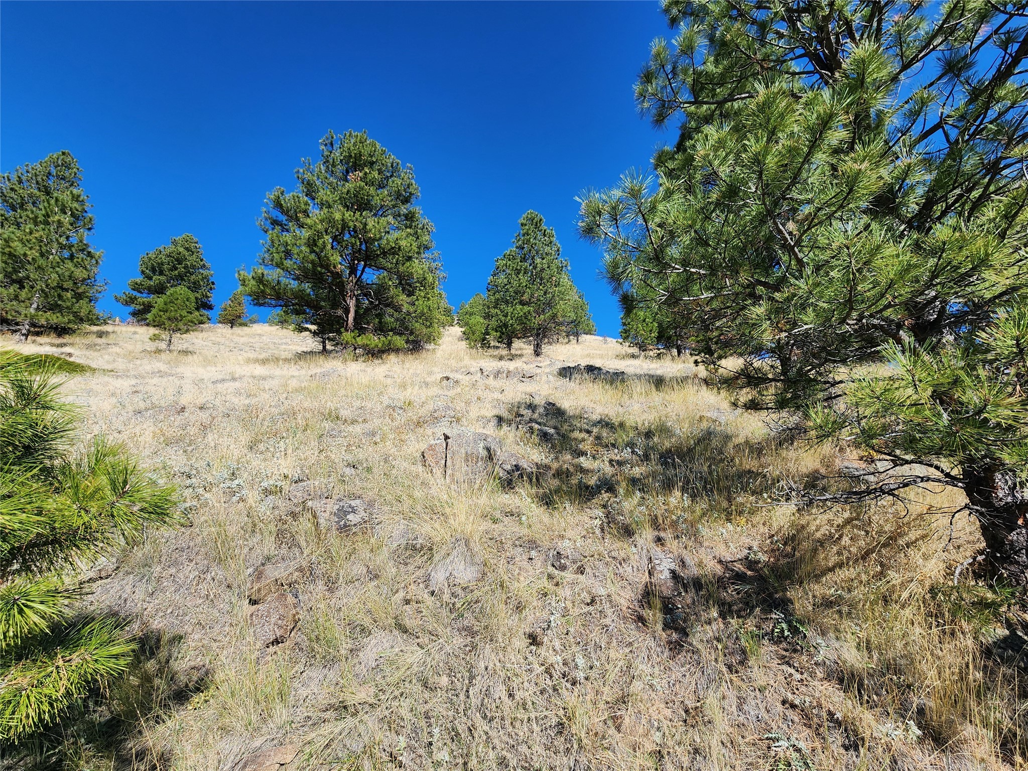 Tract 90 Hideaway Lane Property Photo 11