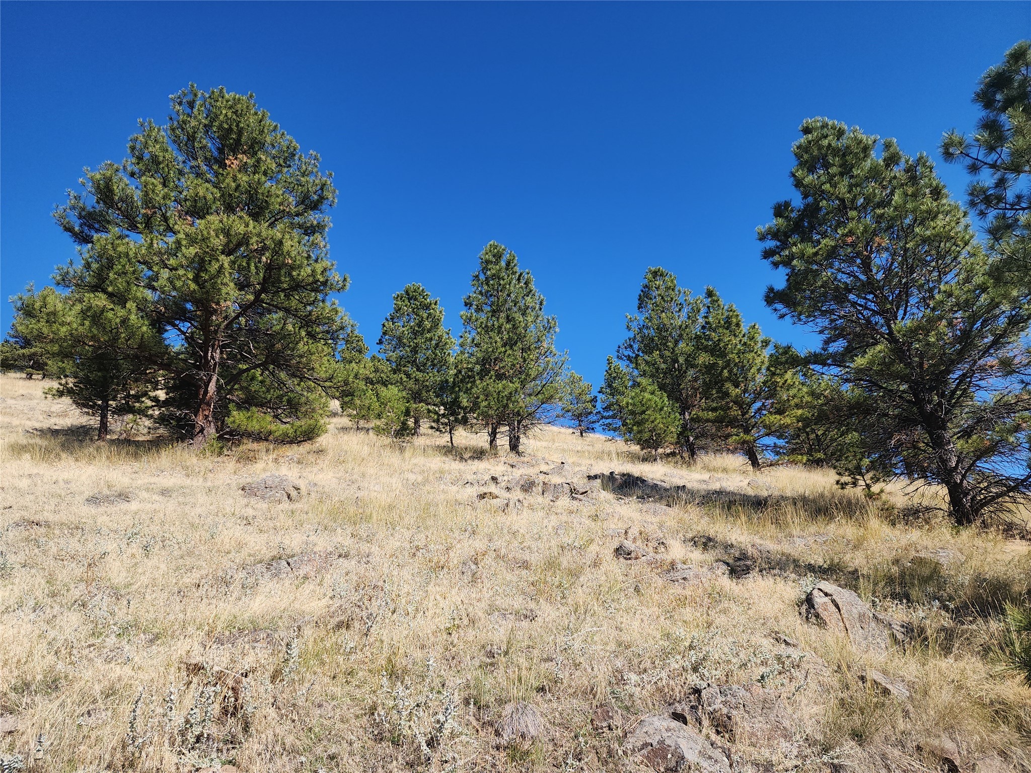 Tract 90 Hideaway Lane Property Photo 12