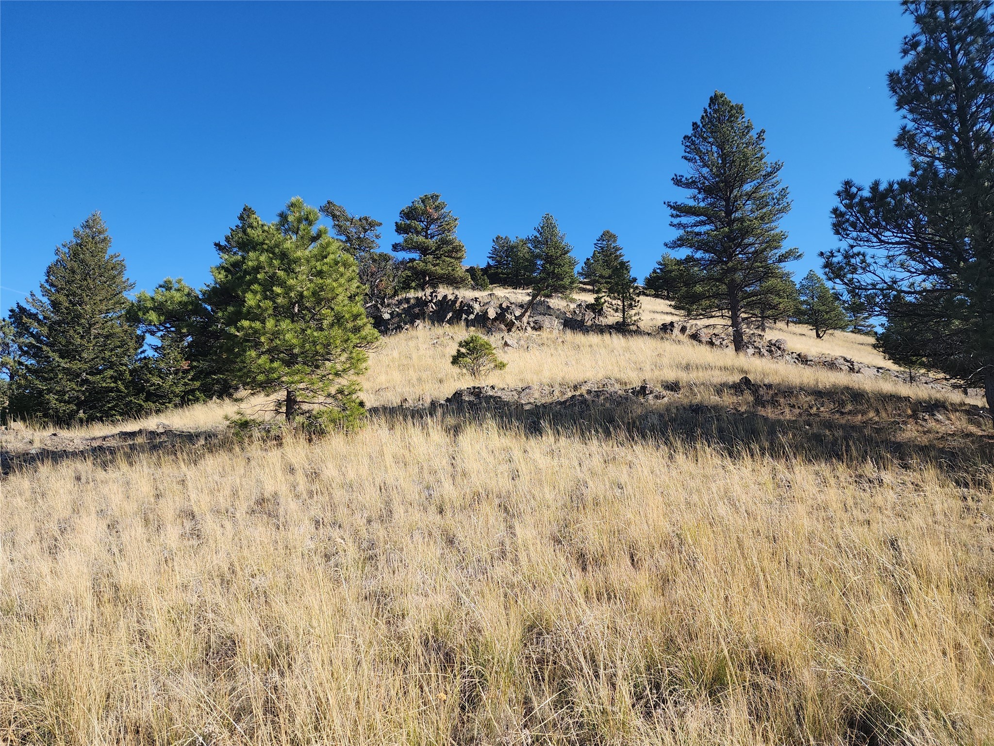 Tract 90 Hideaway Lane Property Photo 13