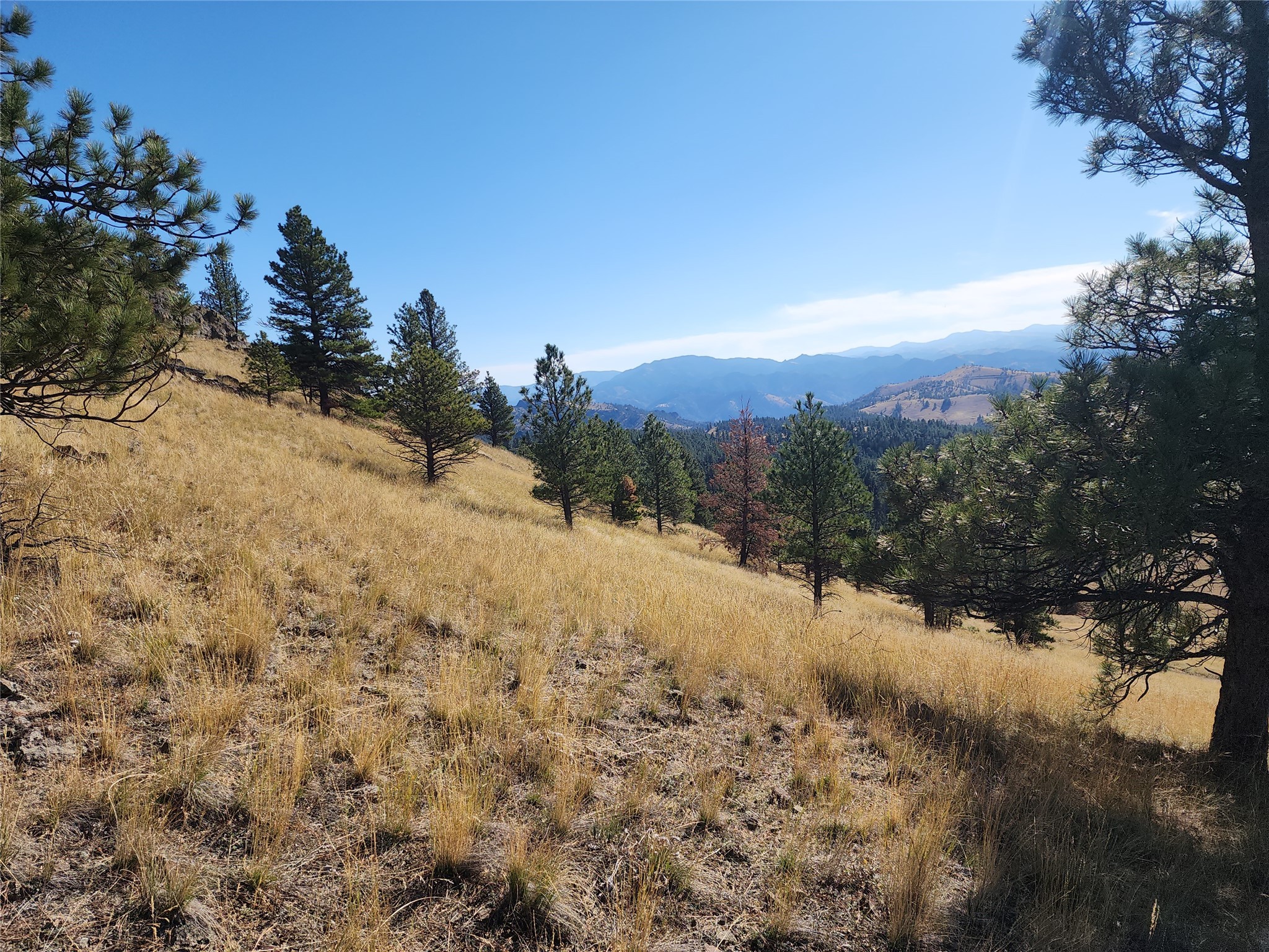 Tract 90 Hideaway Lane Property Photo 14